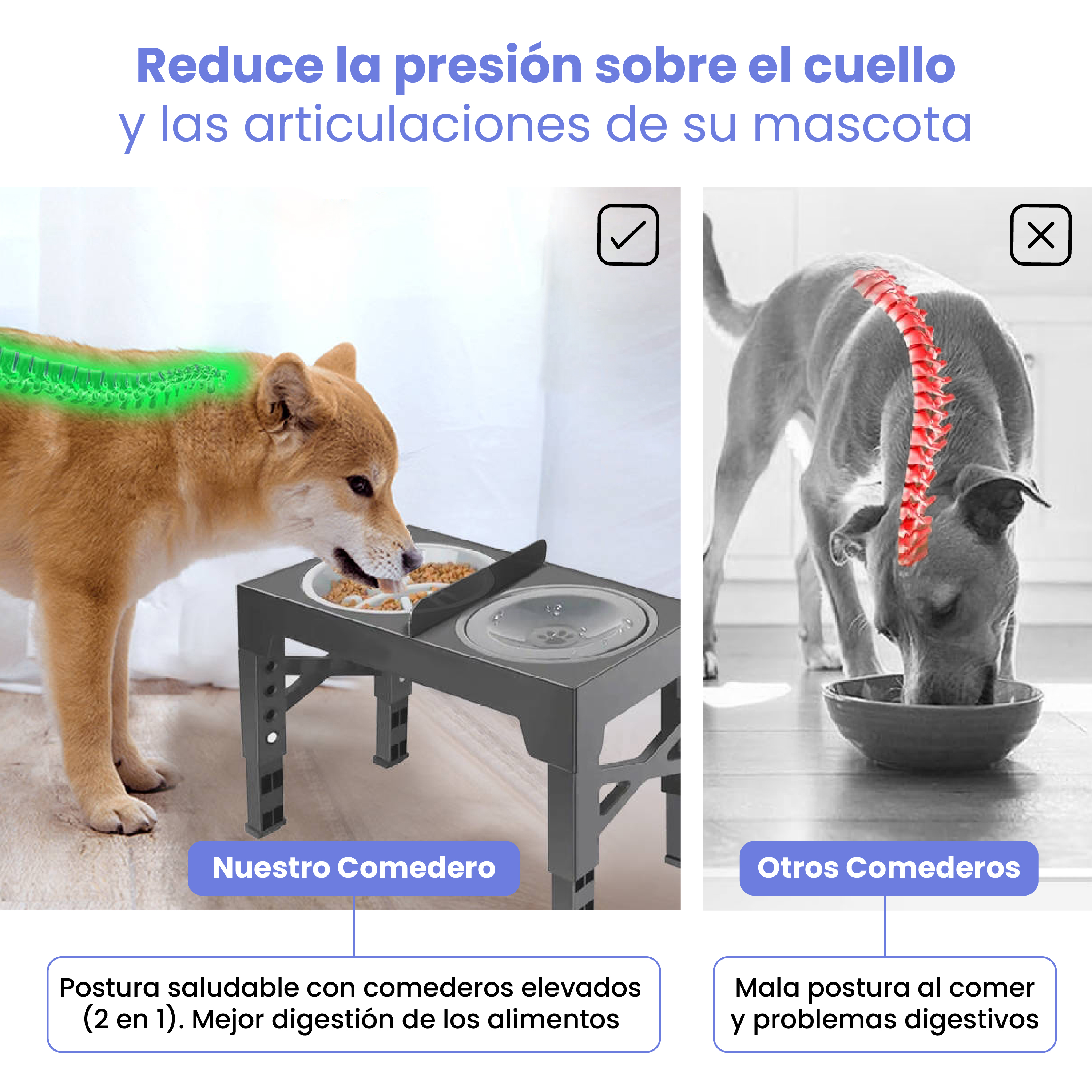 Perro comiendo de comedero elevado (columna verde) vs. perro con espalda encorvada de cuenco en suelo (columna roja).