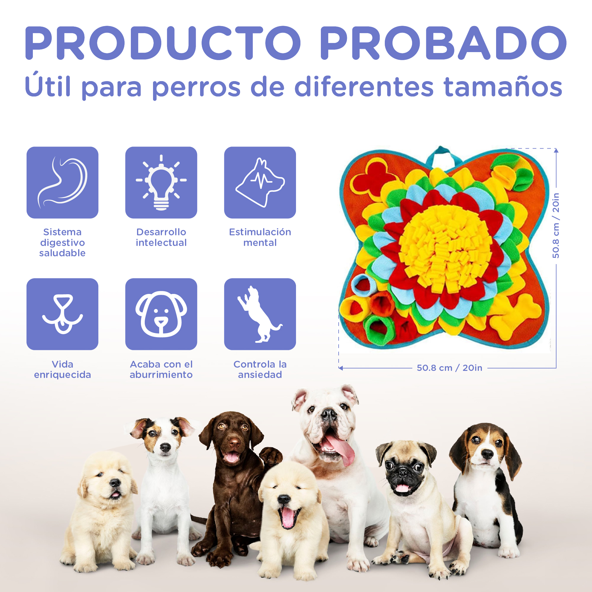 Juguete para perros colorido en forma de mariposa con seis iconos y seis perros.