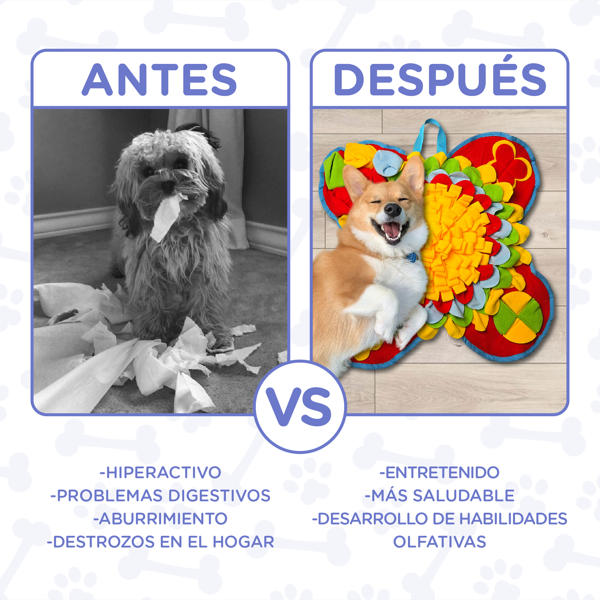 Antes: Perro con papel higiénico roto. Después: Perro juega con juguete de mariposa.