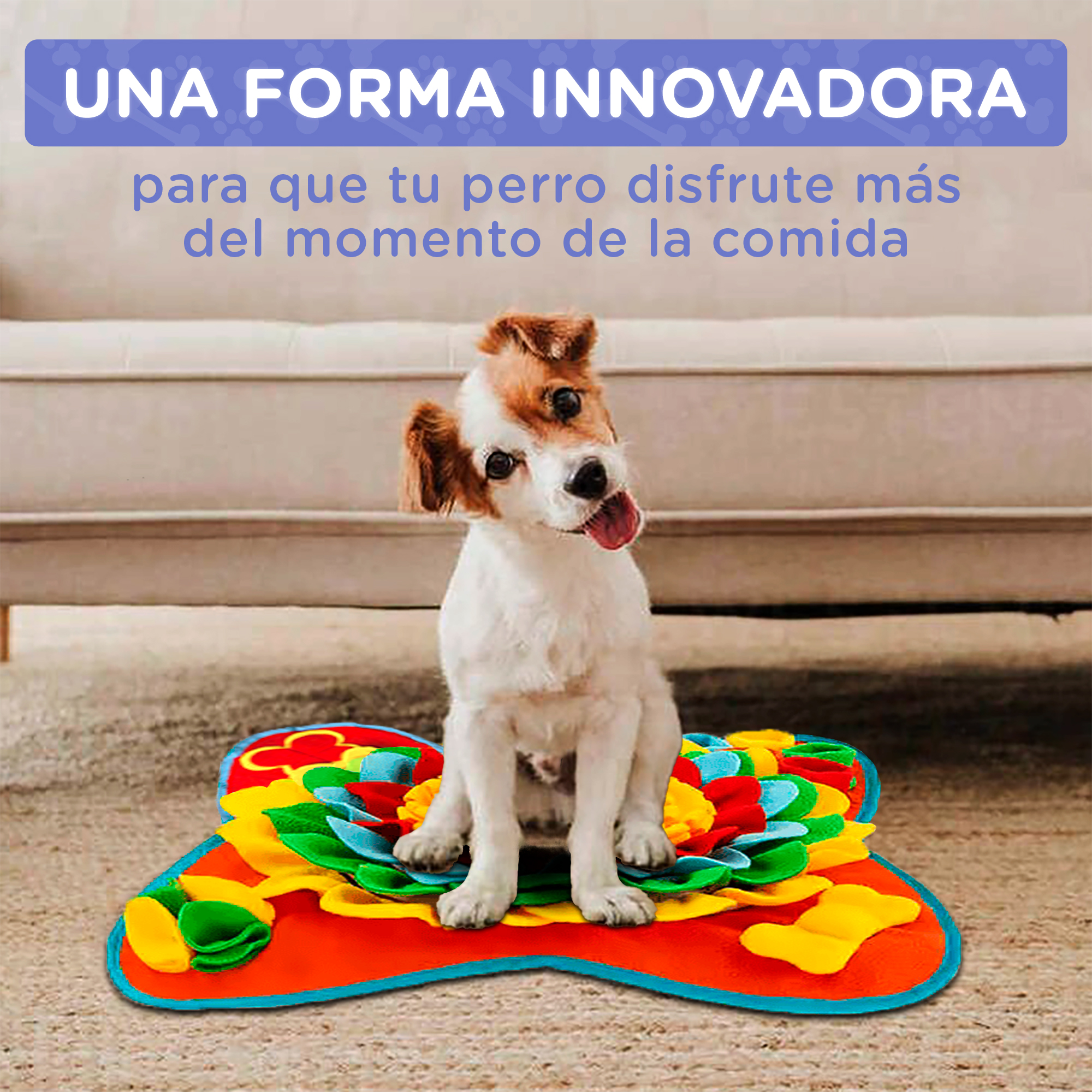 Un perro se sienta en un tapete olfateador colorido frente a un sofá.