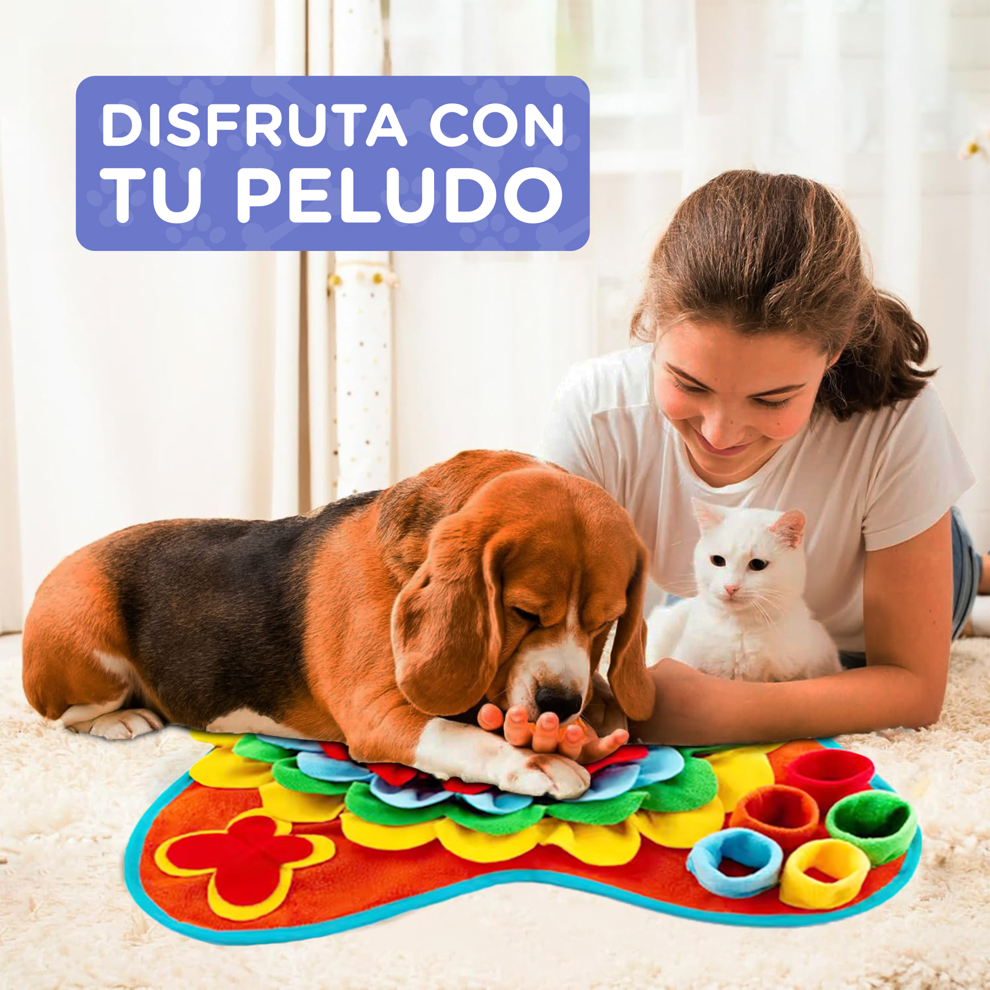 Un beagle y un gato blanco juegan con un juguete colorido en una alfombra.