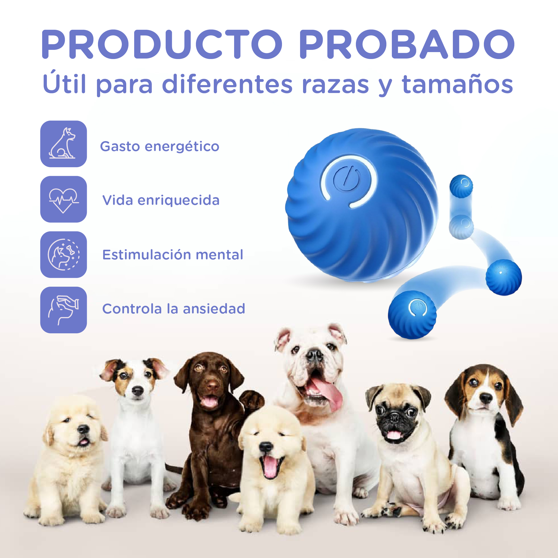 Perros de varias razas y tamaños sentados frente a una pelota azul.
