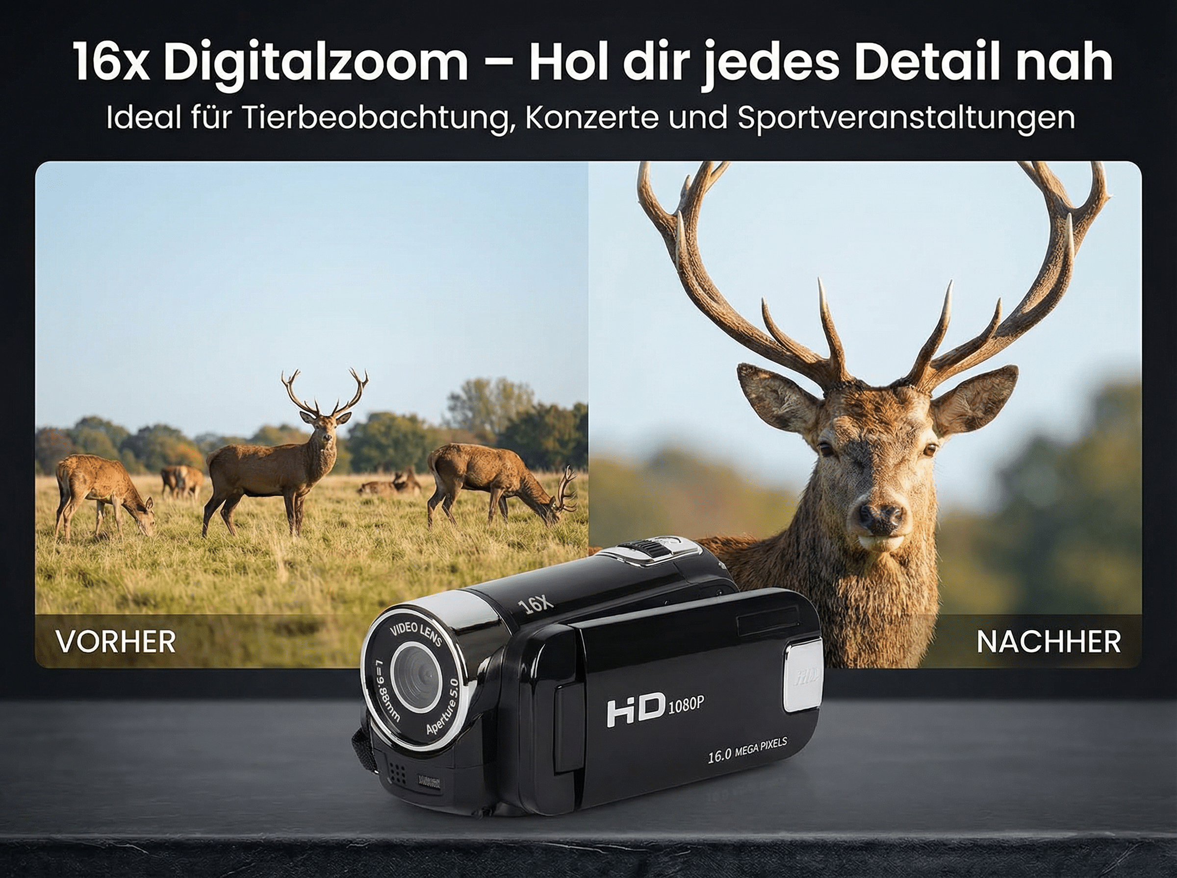 Ein Camcorder zeigt zwei Bilder von Hirschen in einem Feld; nahaufnahme eines Hirsches.