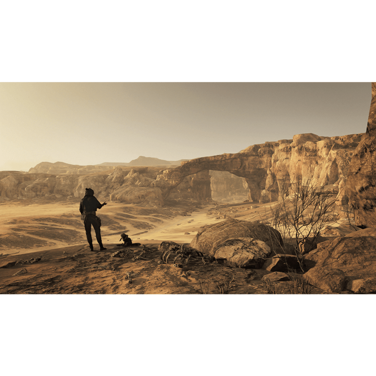 Uomo in paesaggio desertico con arco di roccia e cane piccolo.