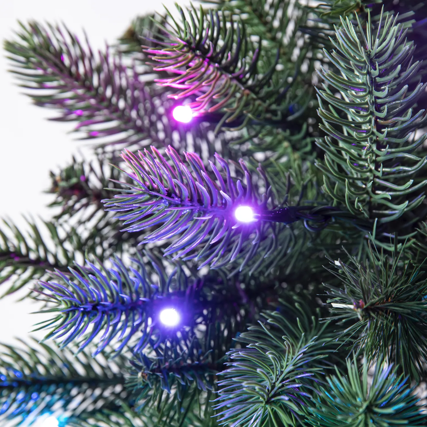 Zbliżenie gałązek jodły z kolorowymi światłami.