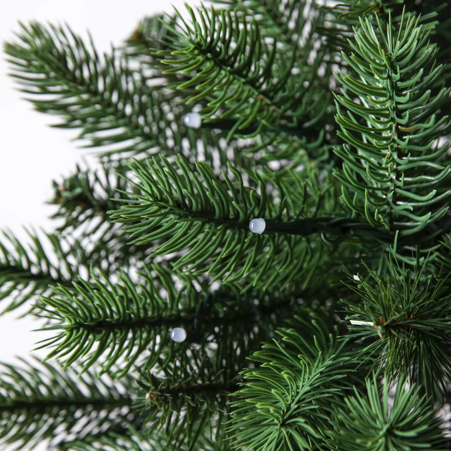 Zbliżenie zielonych gałęzi jodły z małymi białymi światełkami, białe tło.