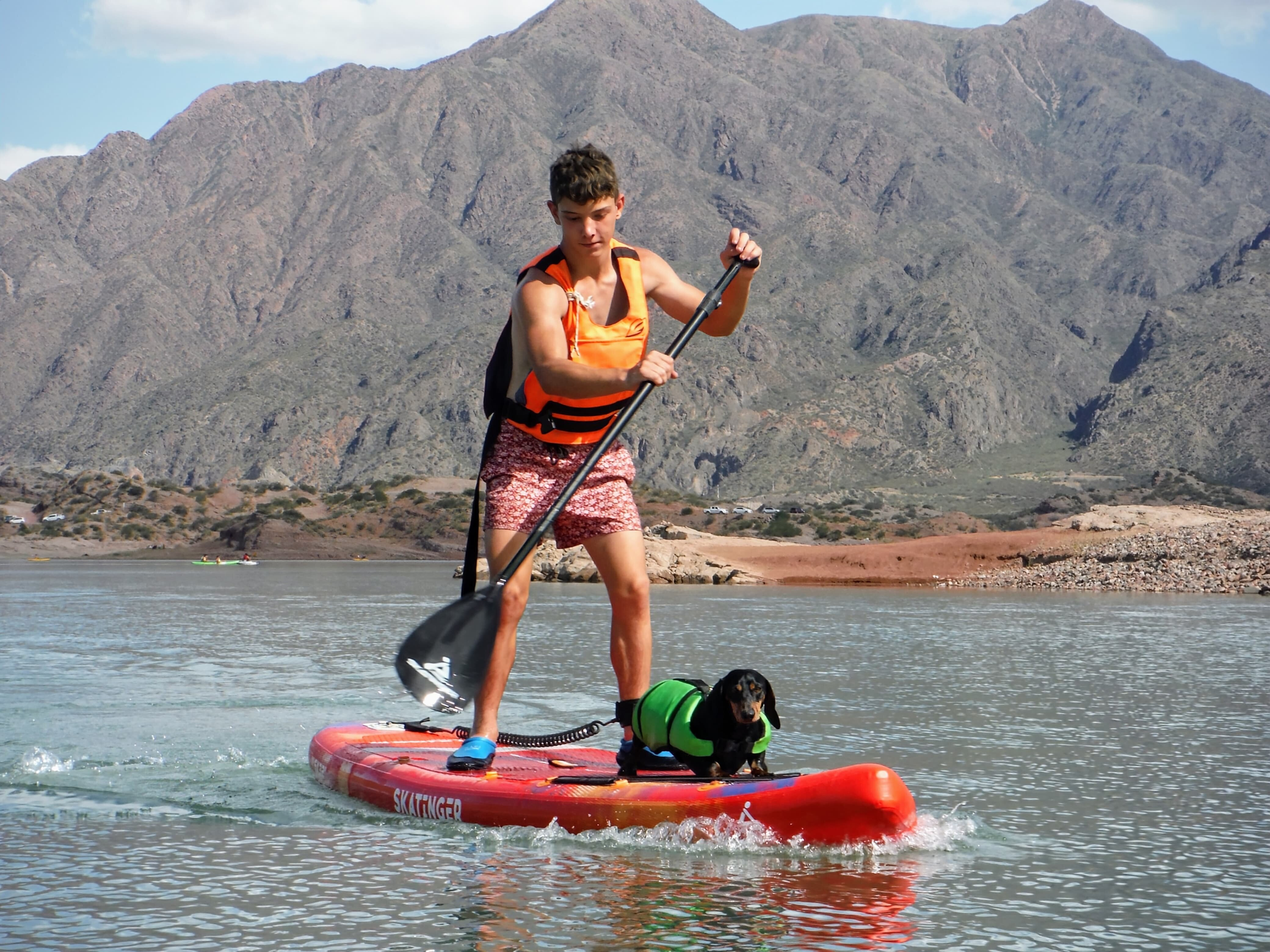 Mężczyzna i jego pies na desce SUP na jeziorze z górami w tle.