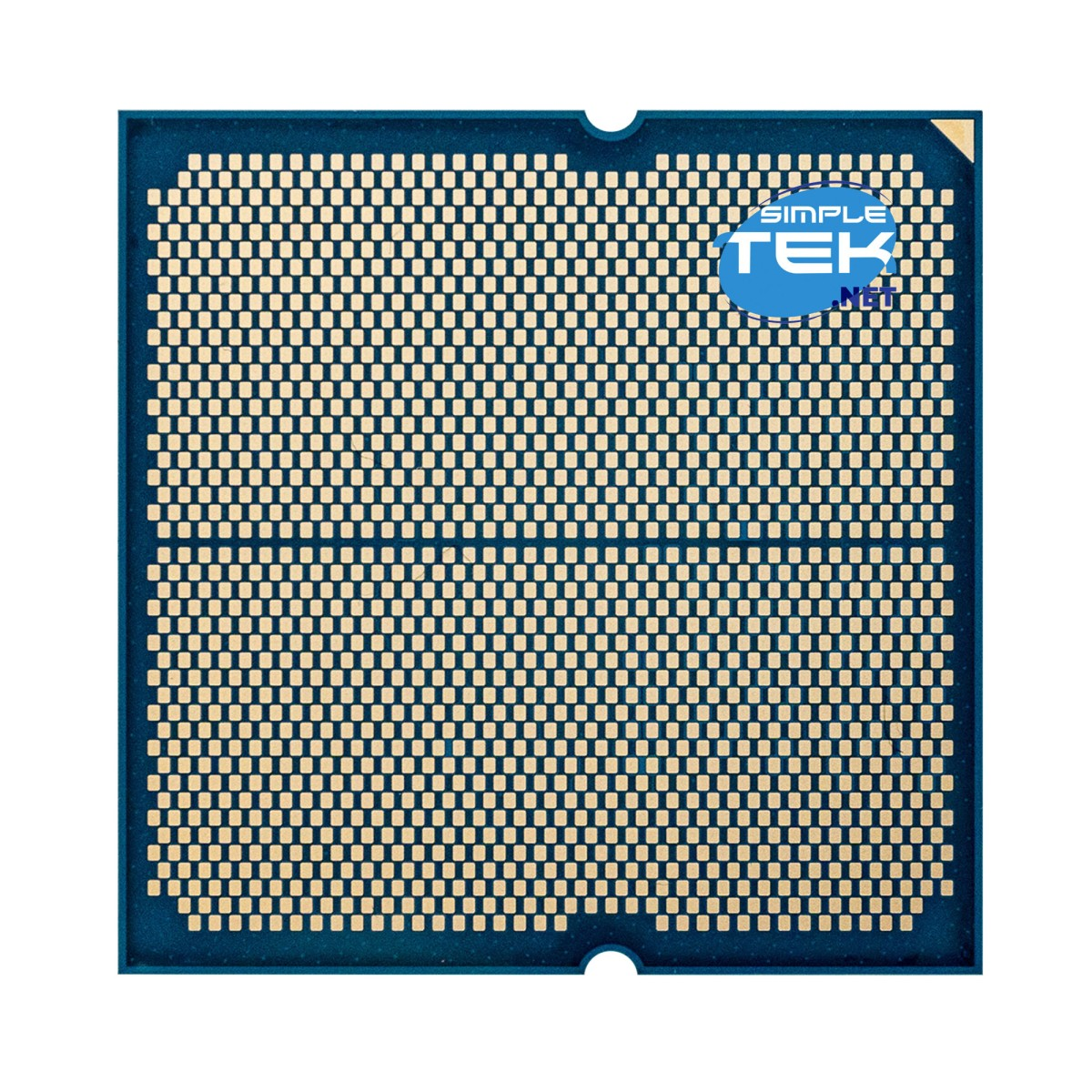 Procesor komputerowy z wieloma złotymi pinami na niebieskim tle.