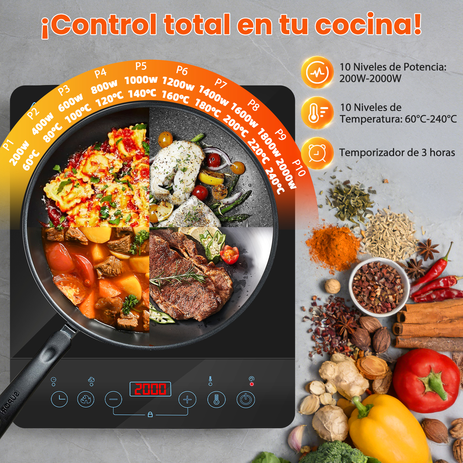 Placa de inducción muestra cuatro platos: ravioli, pescado, estofado y bistec. Especias al fondo.