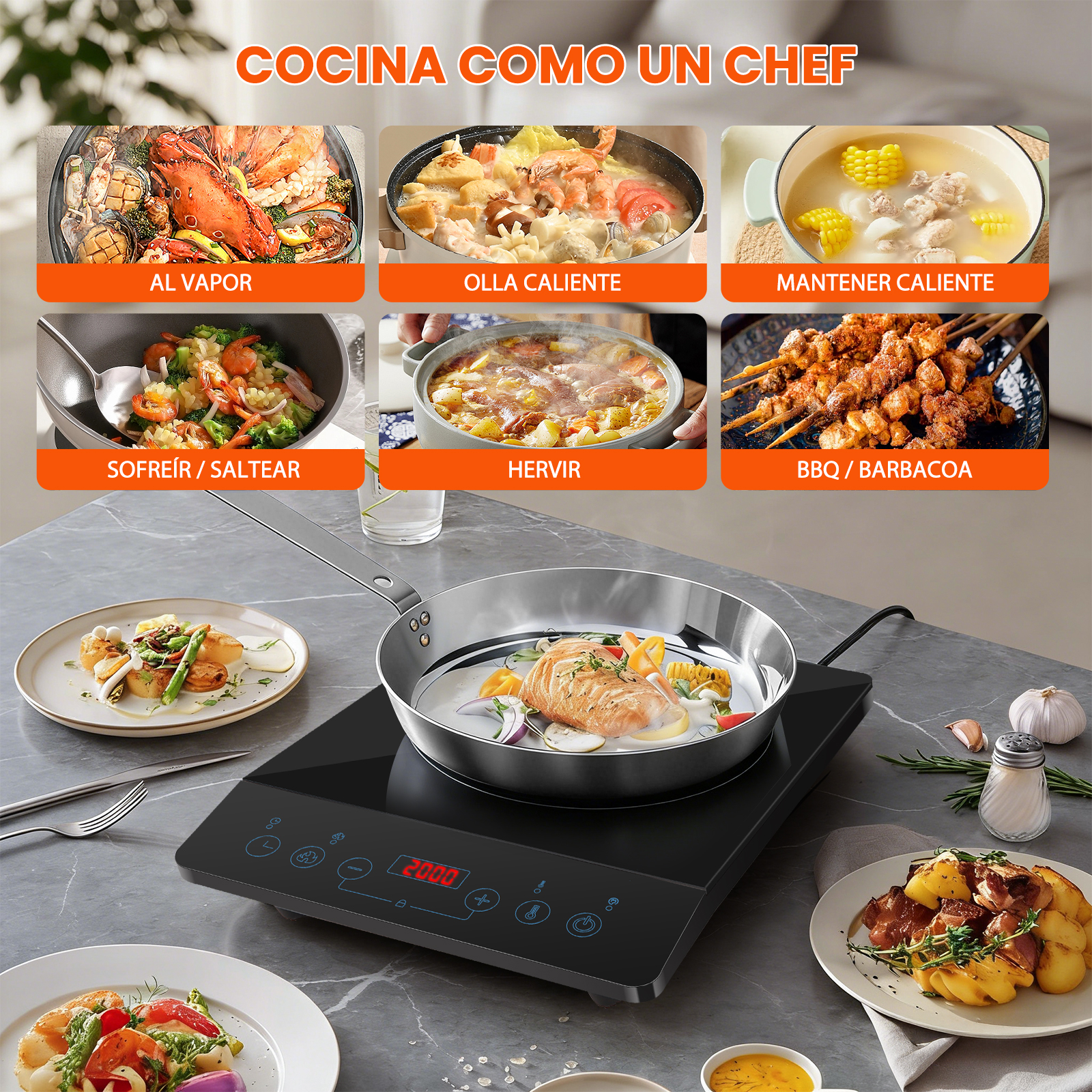 Placa de inducción con varios platos: mariscos, estofado, pollo, brochetas, pescado.