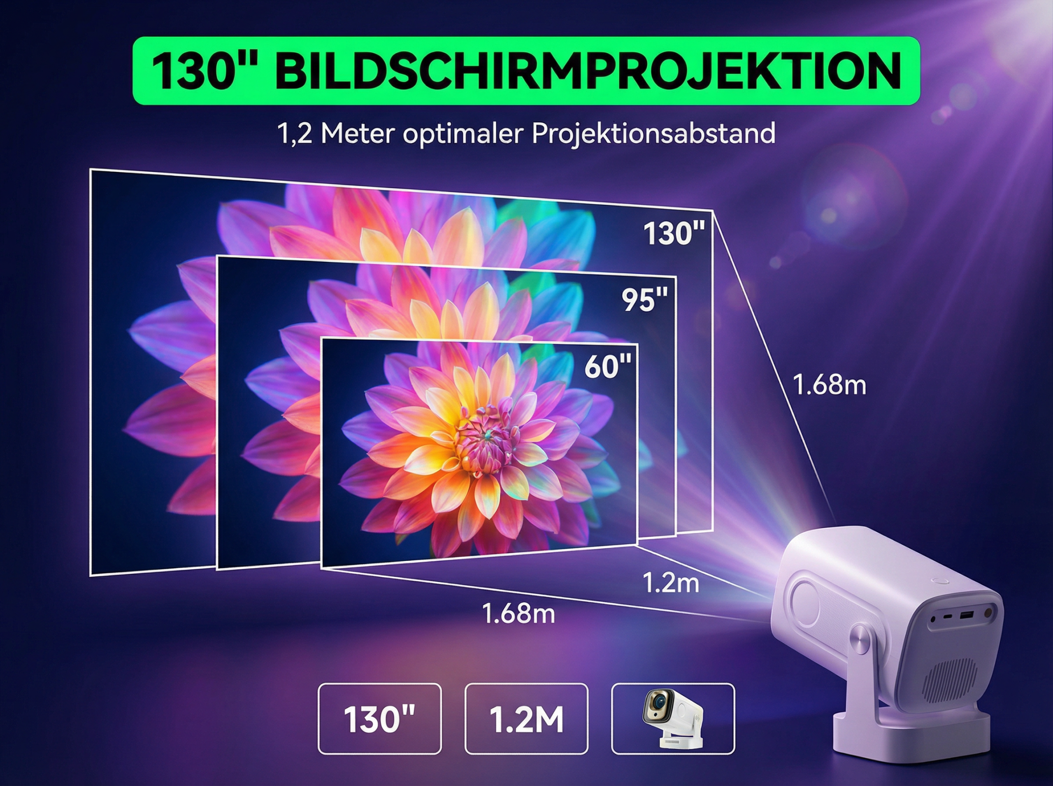 Projektor mit Blumenbild und Größenangaben. 1,2m Abstand.