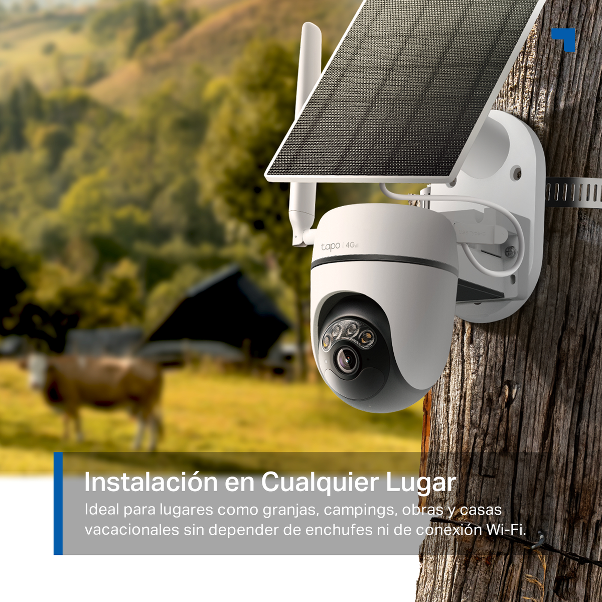 A white security camera with a solar panel is mounted on a tree.