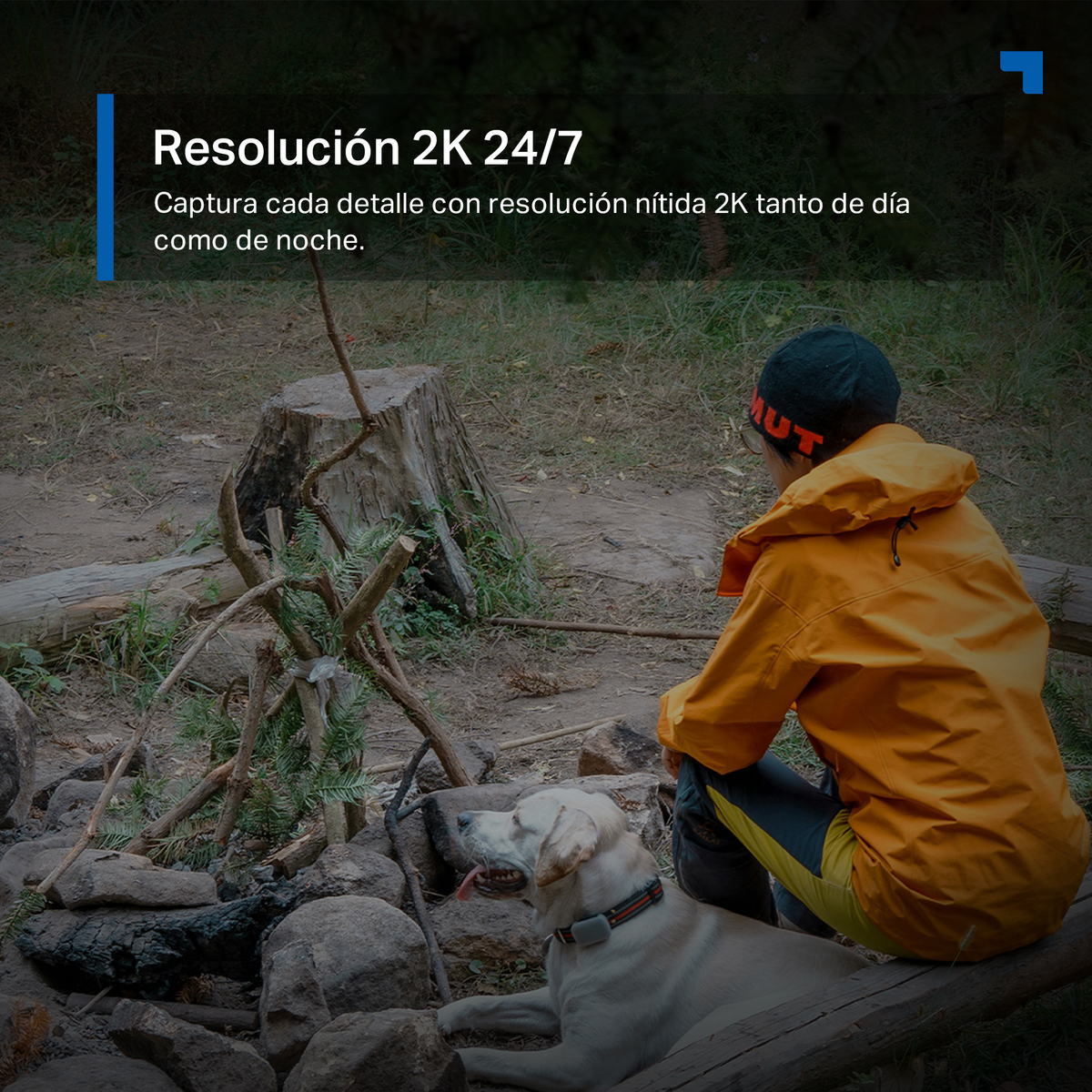 A boy in a yellow jacket and a dog sit near a campfire in the woods.