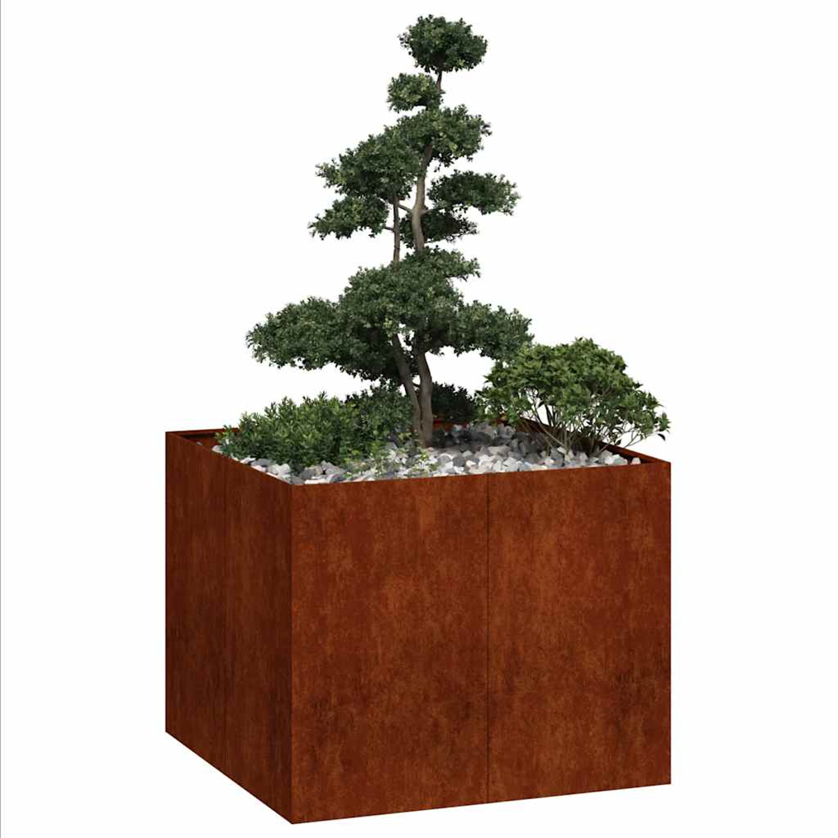 Fioriera cubica arrugginita con bonsai e cespugli su sfondo bianco.