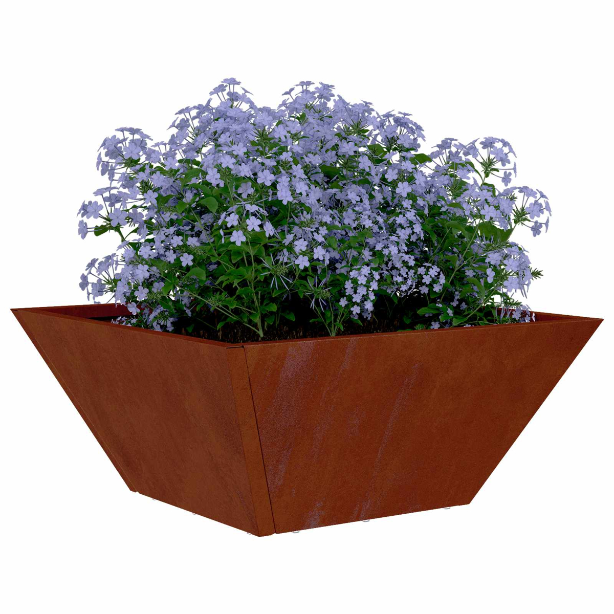 Una fioriera quadrata arrugginita con fiori blu e foglie verdi.