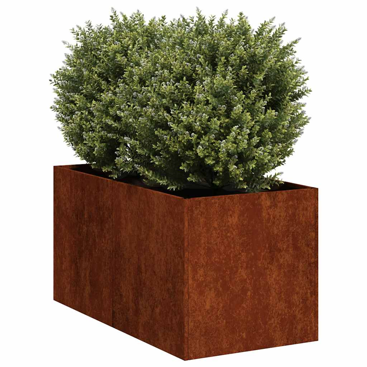 Fioriera rettangolare in acciaio corten con un cespuglio verde.