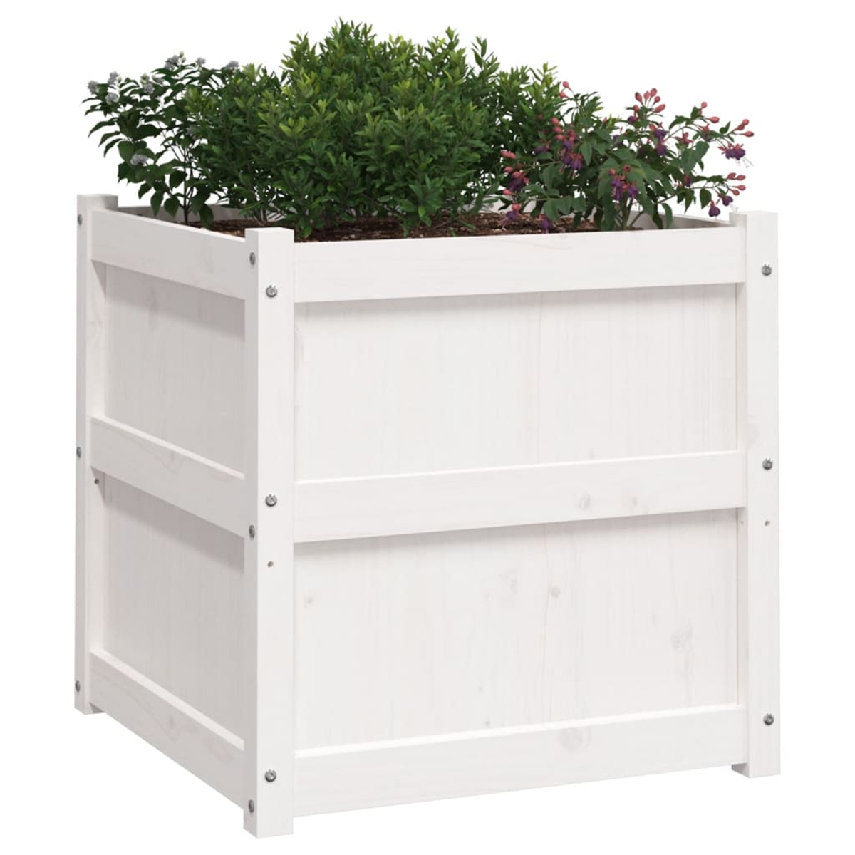 Ein weißer Holz-Blumenkasten mit grünen Pflanzen und lila Blumen.