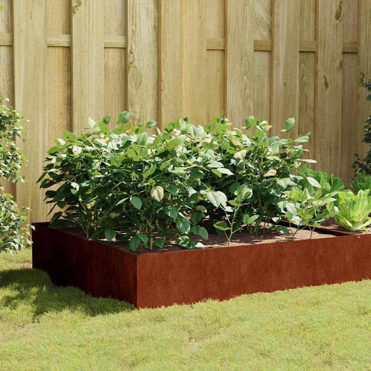 Ein hochbeet aus rostigem Metall mit grünen Pflanzen auf einer Rasenfläche vor einem Holzzaun.