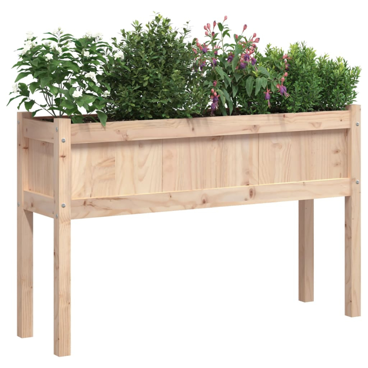 Ein hölzerner Hochbeet mit grünen Pflanzen und lila Blüten auf weißem Hintergrund.
