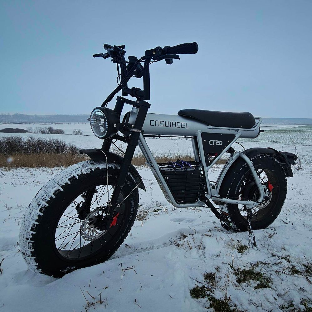 Una bicicletta elettrica argentata con pneumatici larghi è sulla neve. Il cielo è coperto.