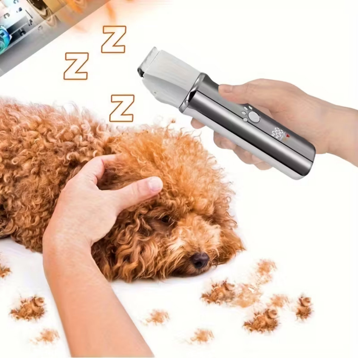 Ein Hund wird von einer Hand gestreichelt, während eine andere Hand einen silbernen Trimmer hält.