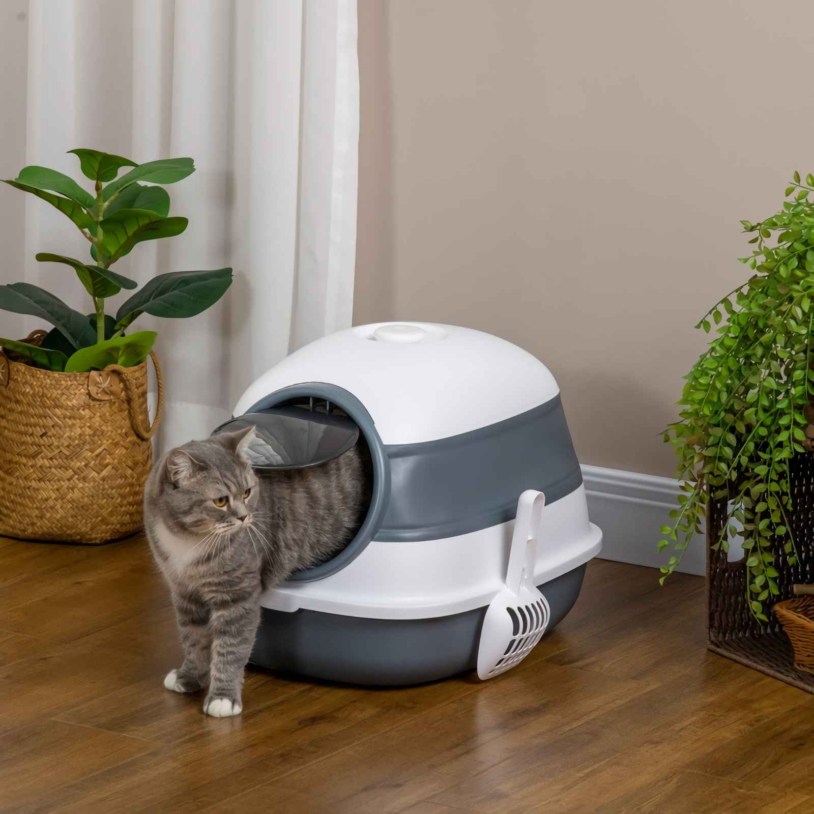 Eine Katze steht neben einer weißen und grauen Katzentoilette mit einer Schaufel.