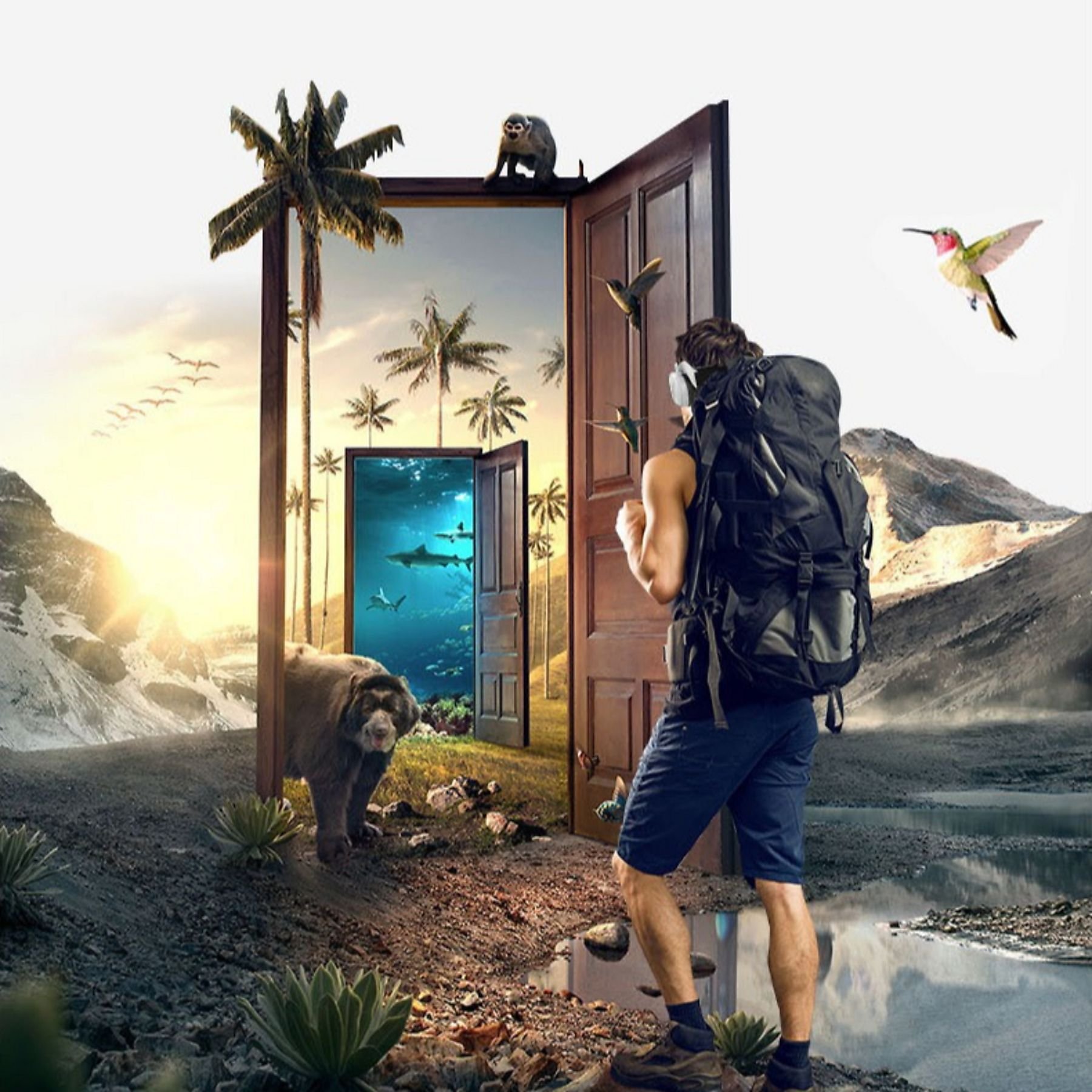 Ein Mann mit Rucksack steht vor einer Tür. Ein Bär und ein Affe sind zu sehen.