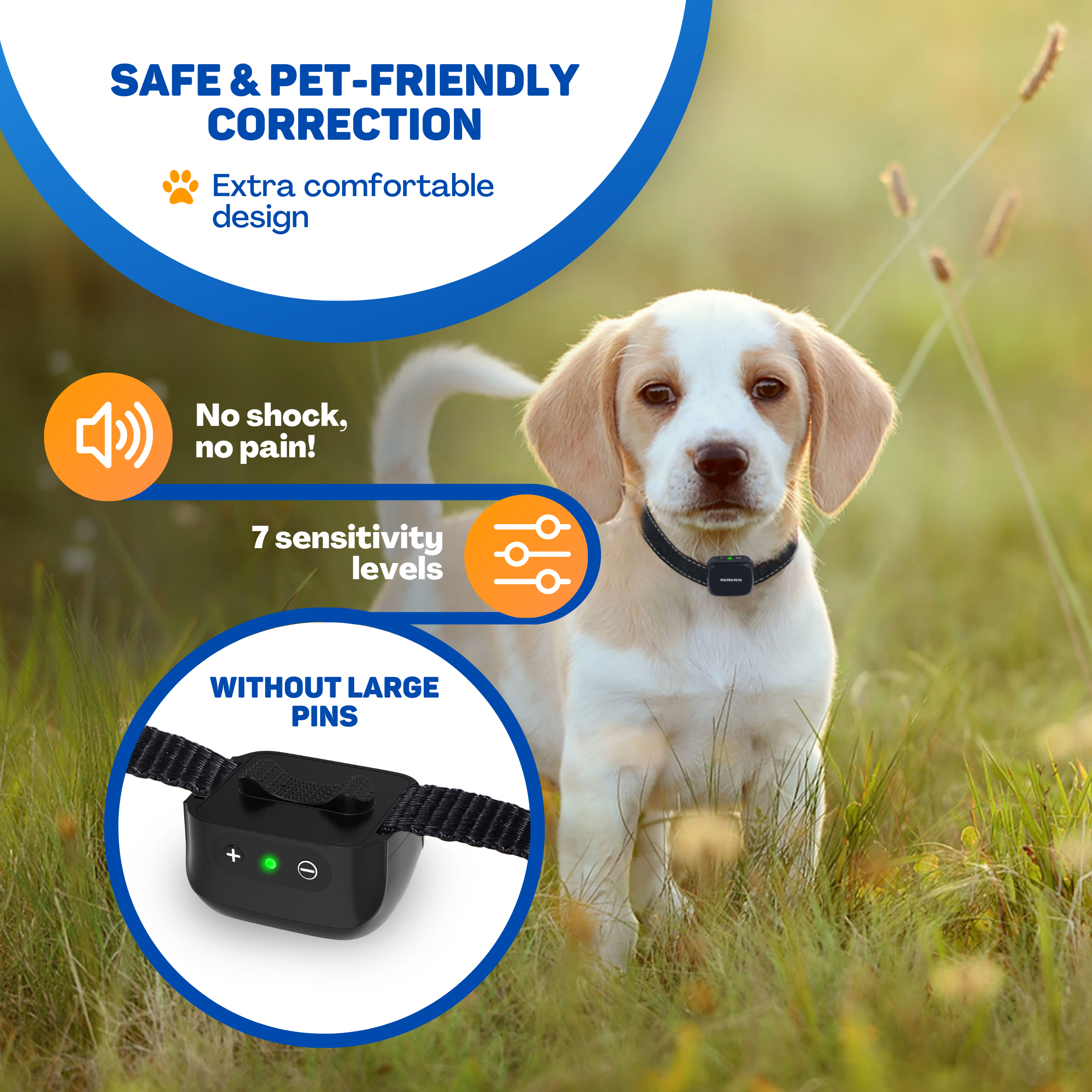 A beagle puppy wears a collar. Text highlights safe correction.