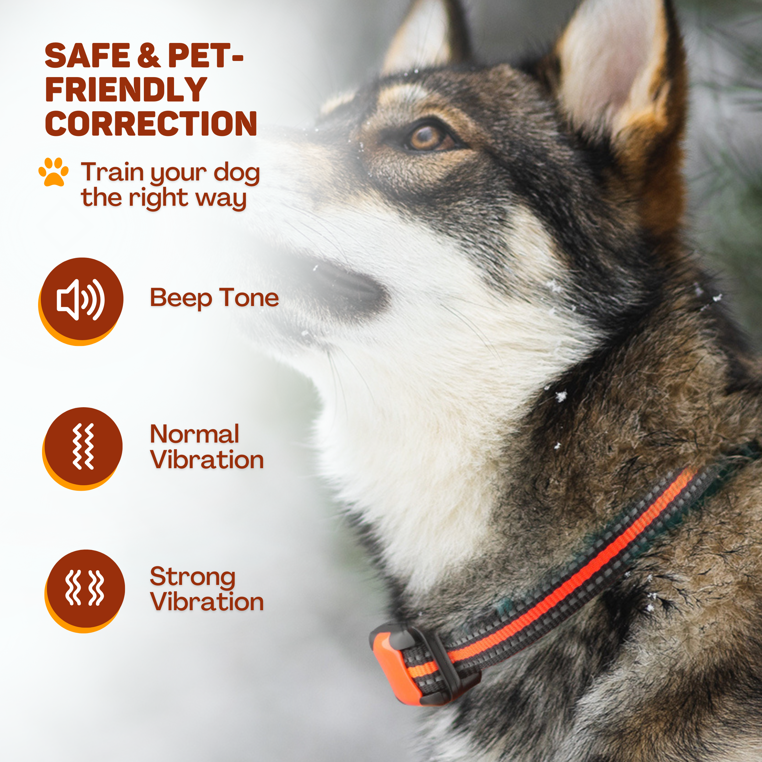 Close-up of a dog wearing a collar, indicating 'Beep Tone', 'Normal Vibration', and 'Strong Vibration'.