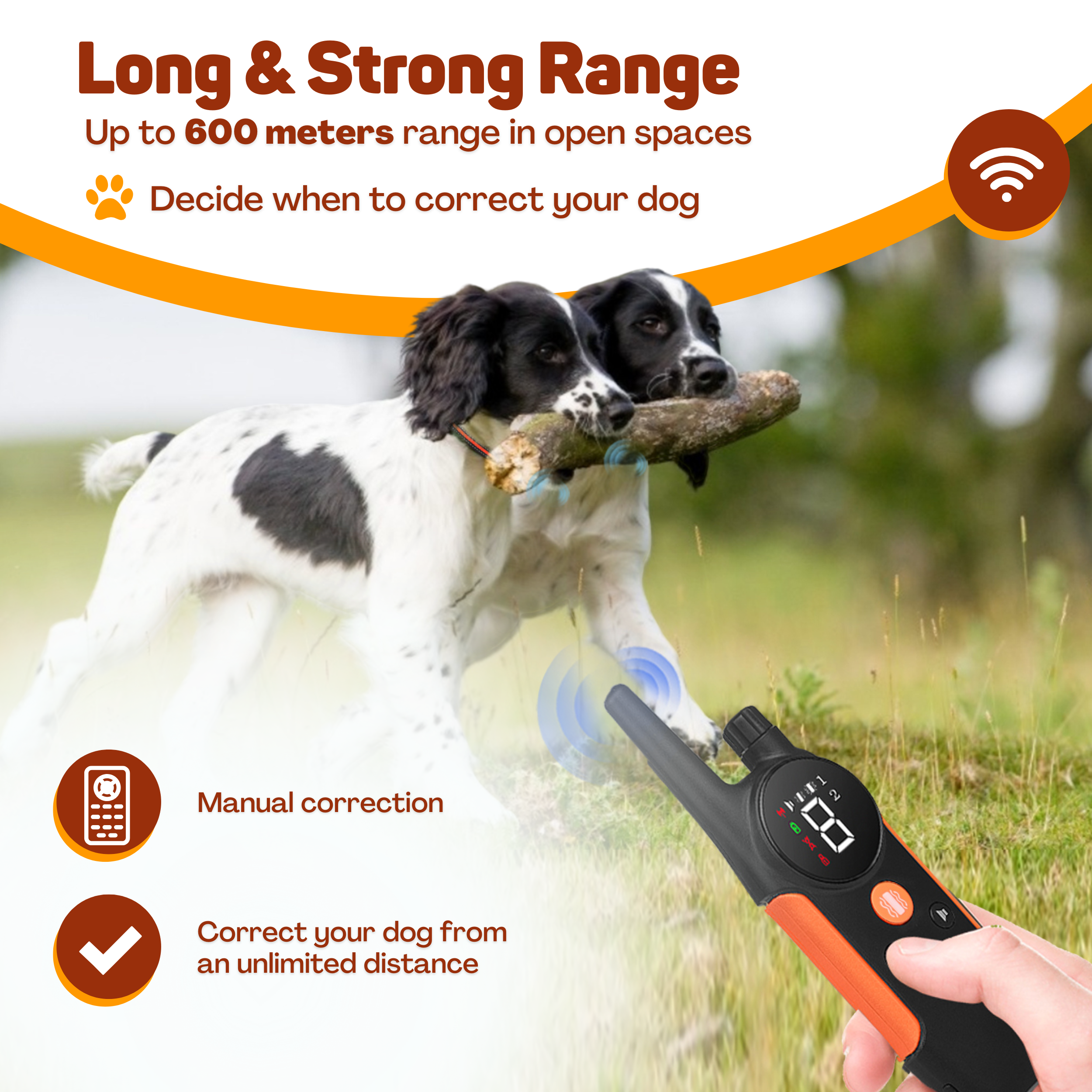Two dogs carry a stick while a hand holds a remote control.