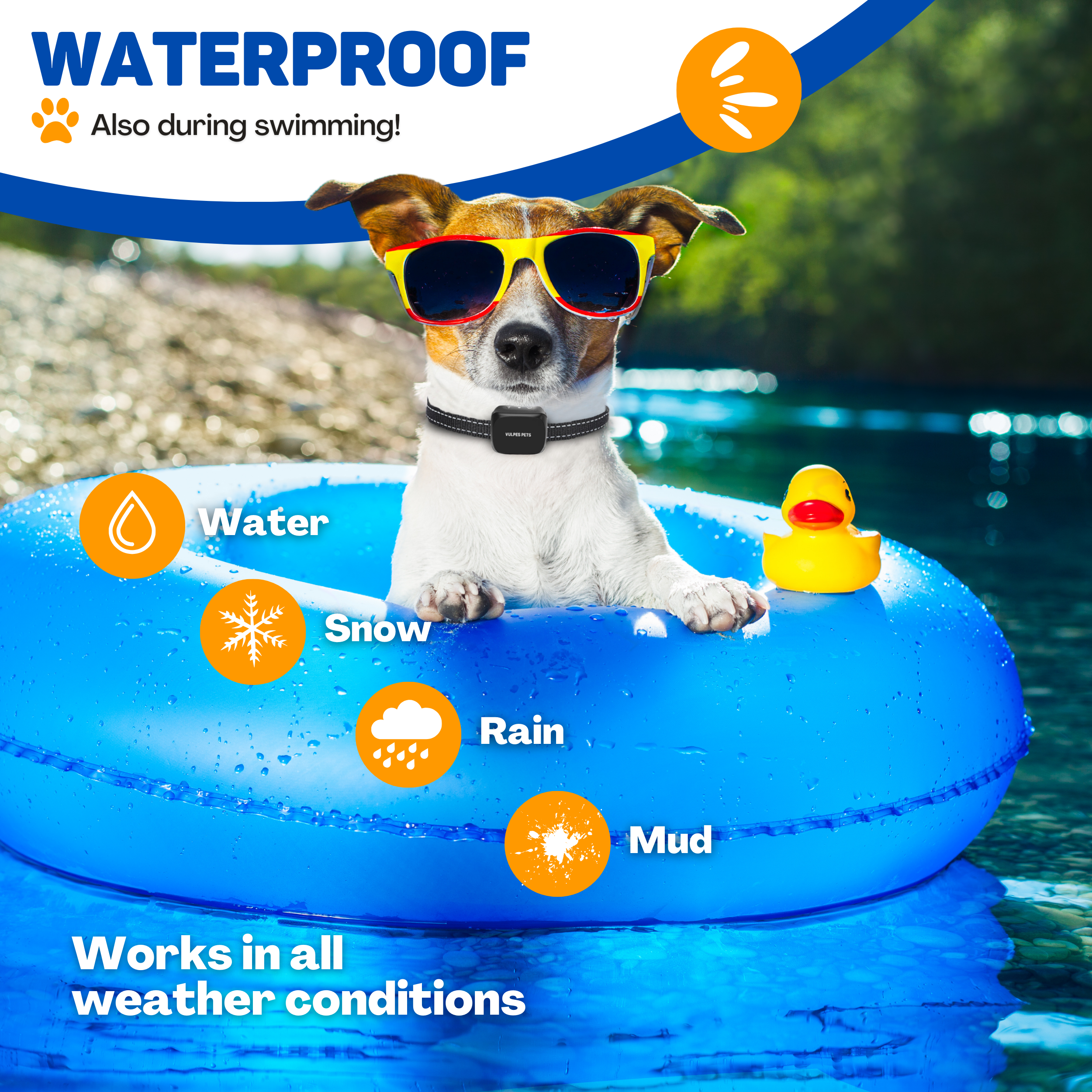 A dog wearing sunglasses floats in a blue ring with a rubber duck.