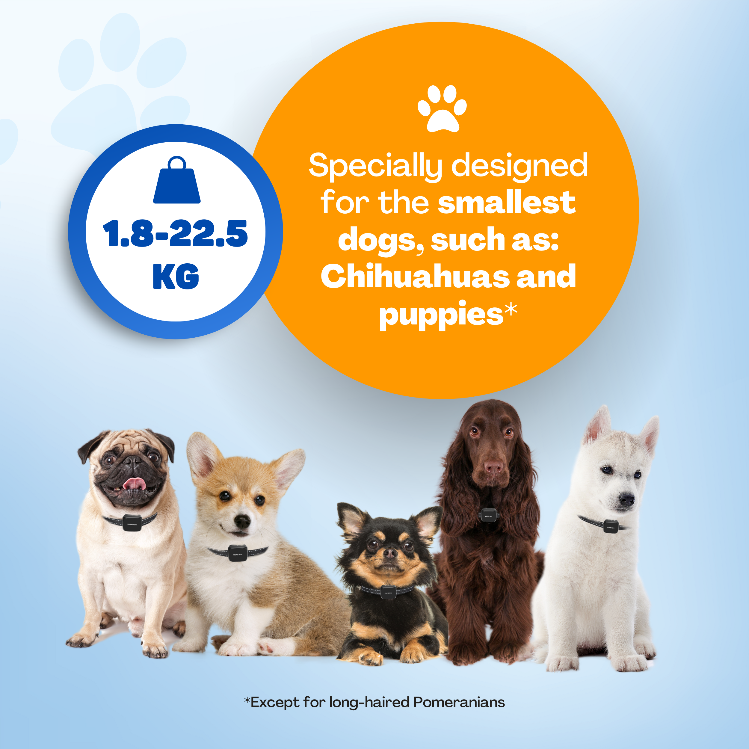 Five dogs with collars on blue background. Size range 1.8-22.5 kg.