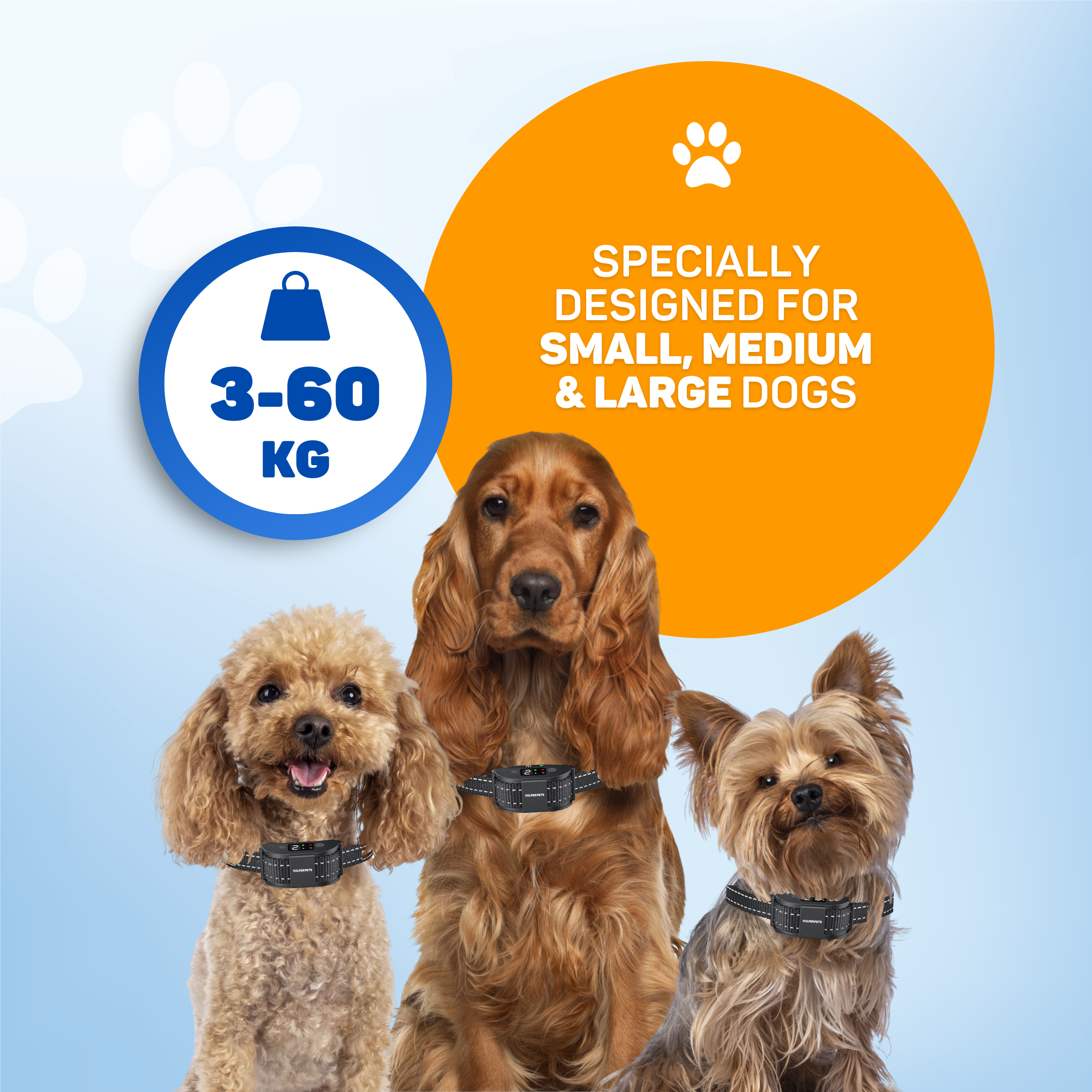 Three dogs with collars against a blue background, text about dog sizes.