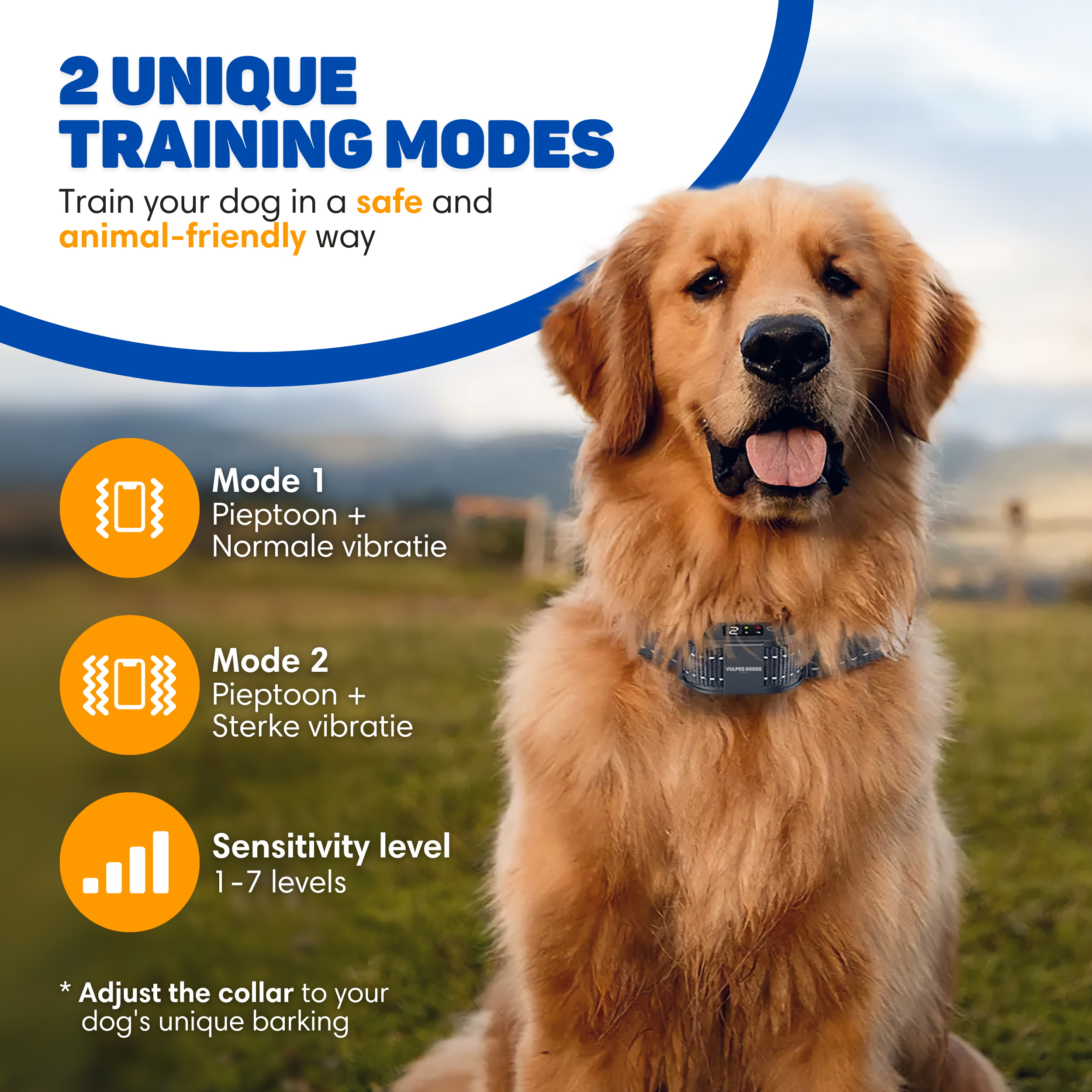 A Golden Retriever wearing a training collar, listing two modes and sensitivity levels.