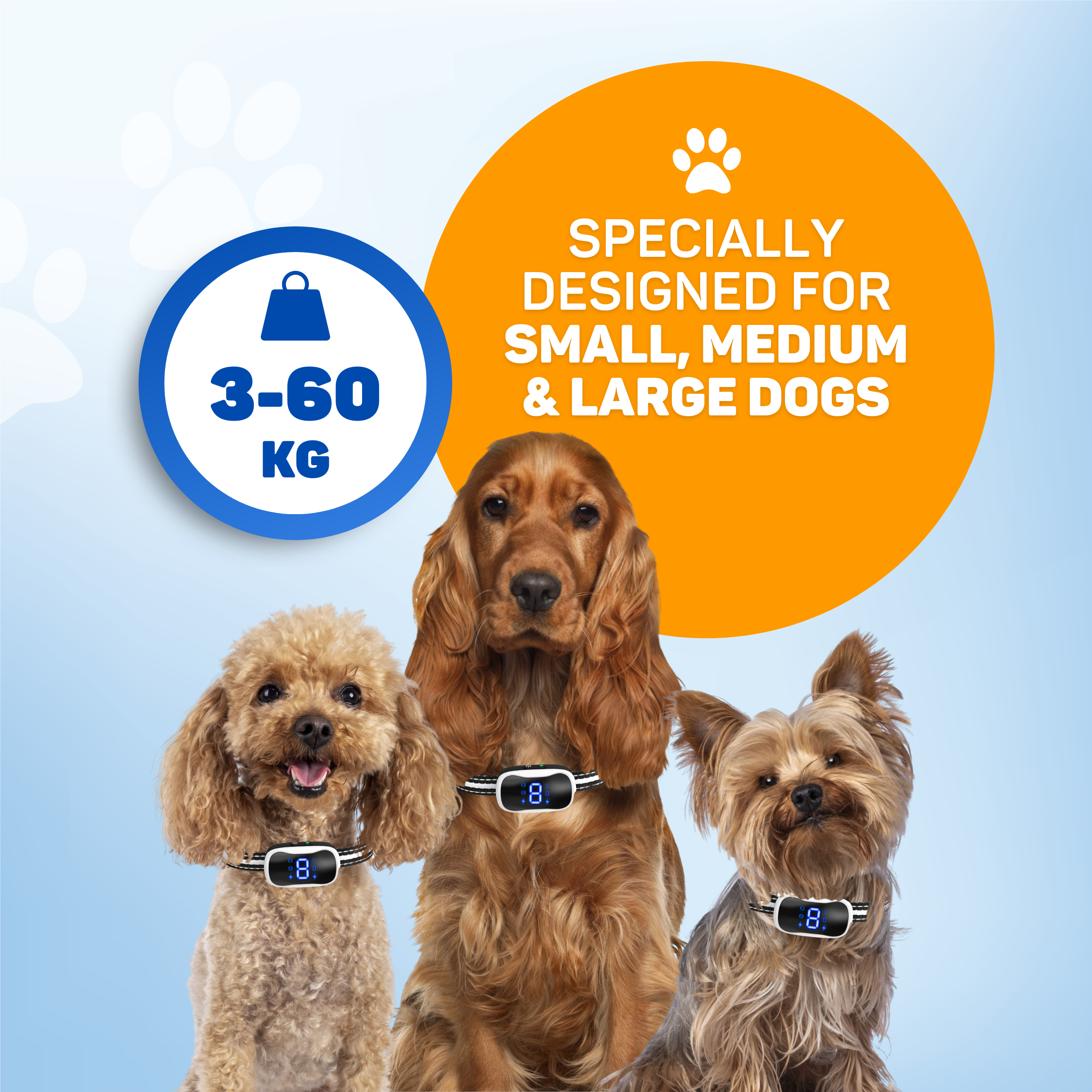 Three dogs wearing collars, designed for 3-60 kg.
