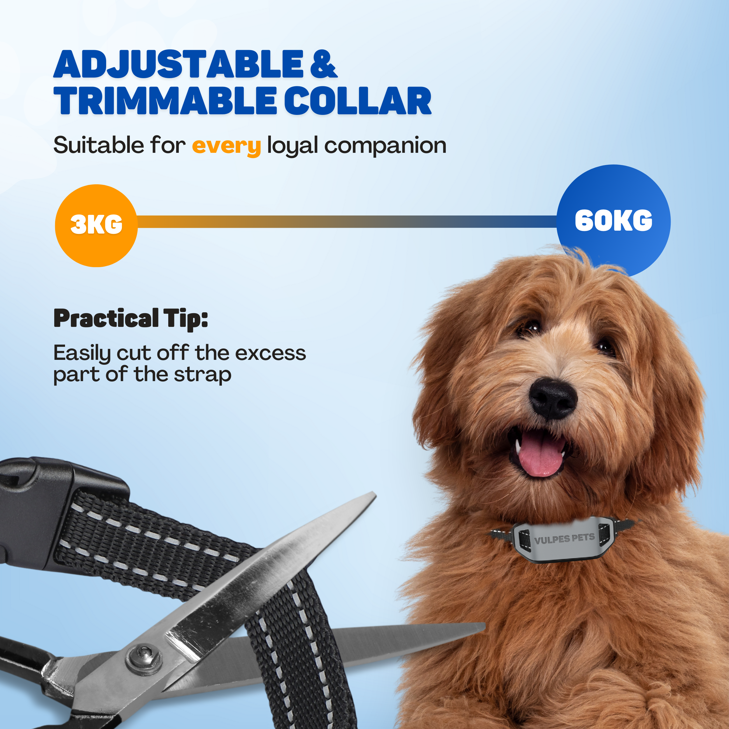 A dog wearing a collar is being cut by scissors. Adjustable & trimmable.