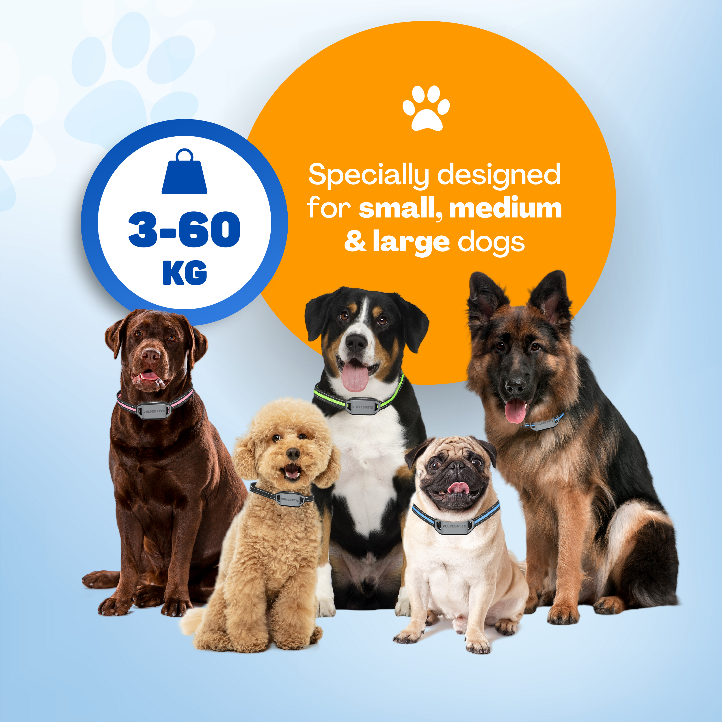 Five dogs of various breeds and sizes wear collars. Text: 3-60 KG.