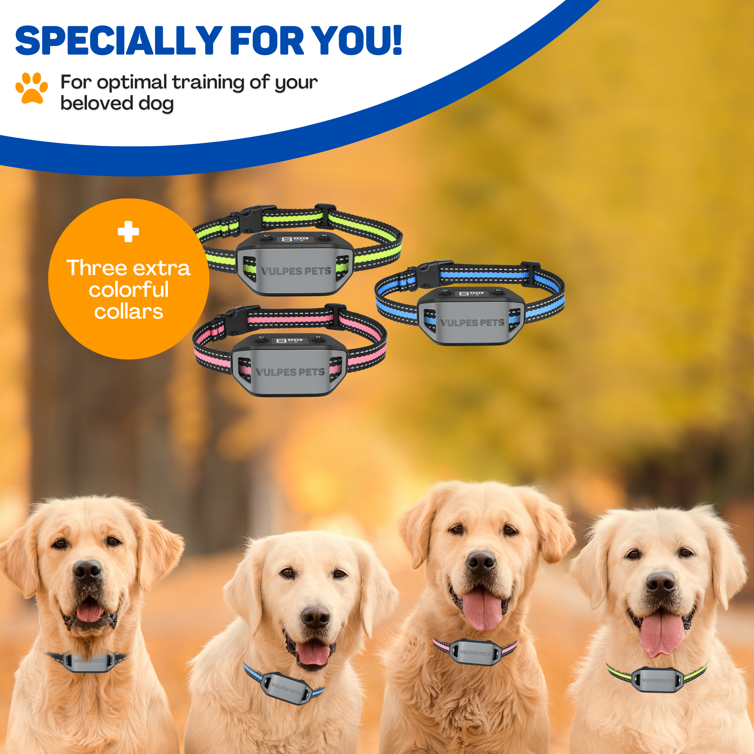 Four dogs wear collars: three colorful and one grey with black band.