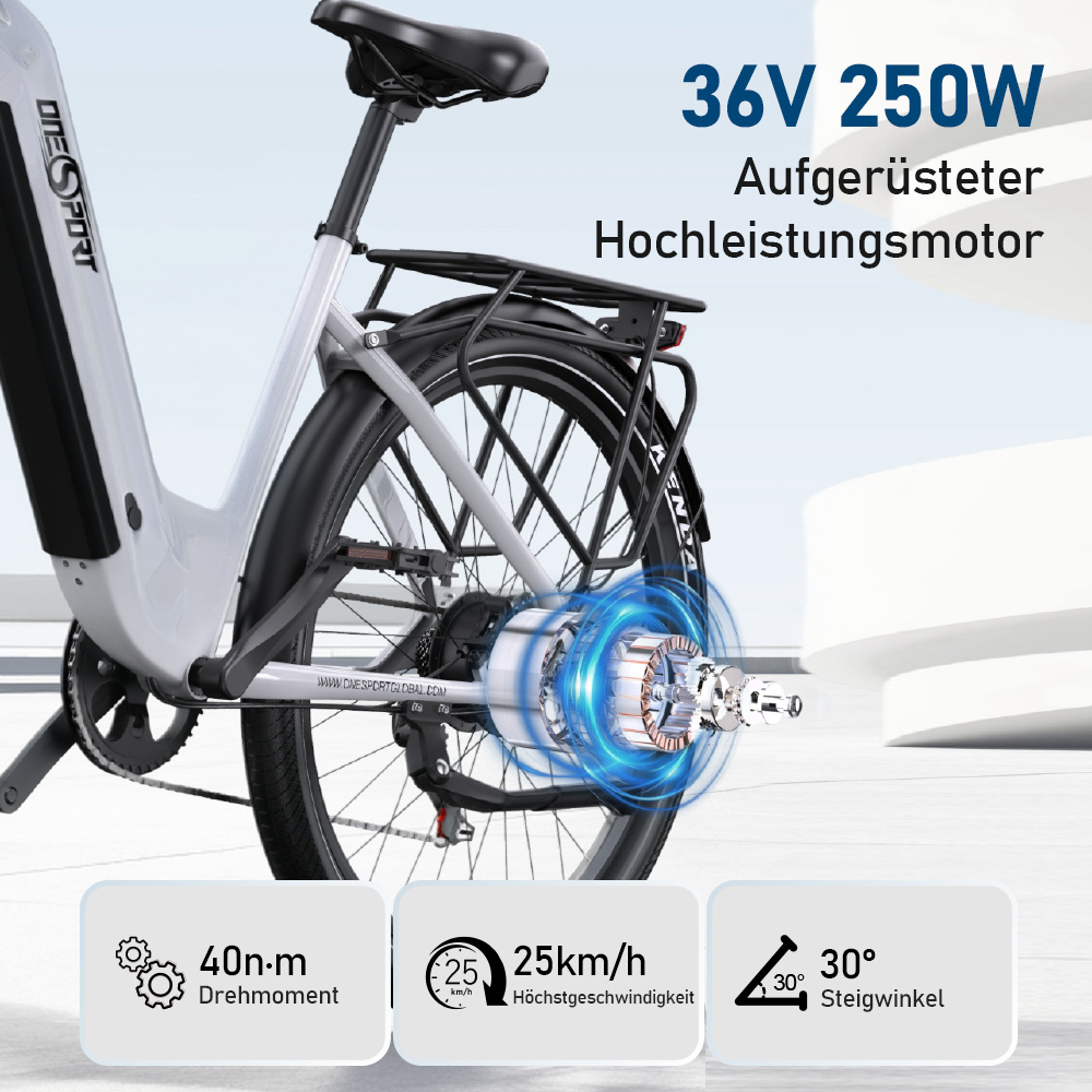 E-Bike mit 36V 250W Motor, 40 Nm, 25 km/h, 30° Steigung.