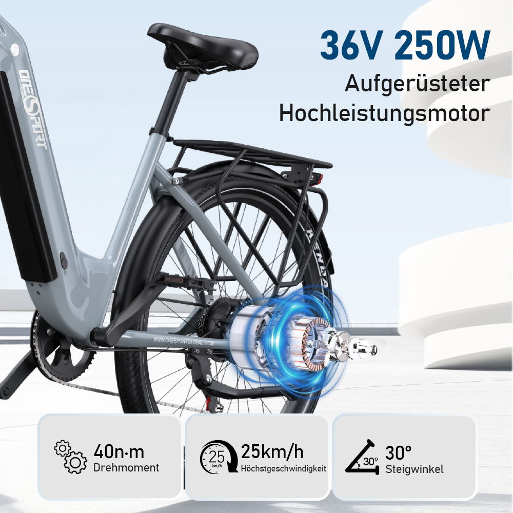 Graues E-Bike mit 36V 250W Motor, 40 Nm, 25 km/h, 30° Steigwinkel.
