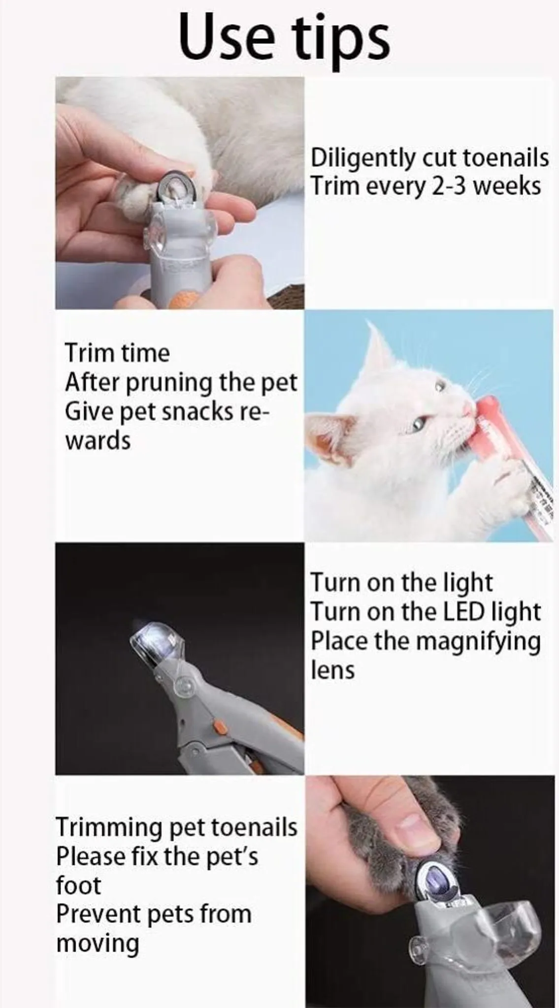 Tierpflegerin schneidet Katzennägel mit LED-Nagelknipser.