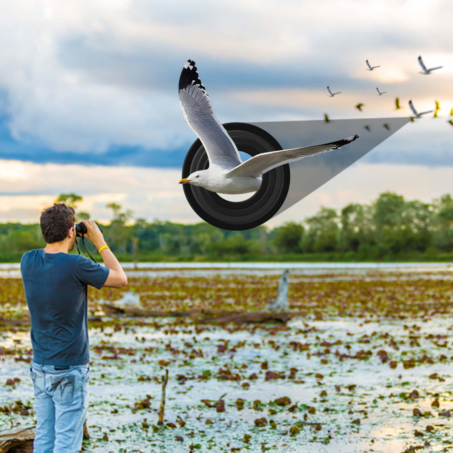Hombre observa aves en humedal; gaviota sale de un cono de altavoz.
