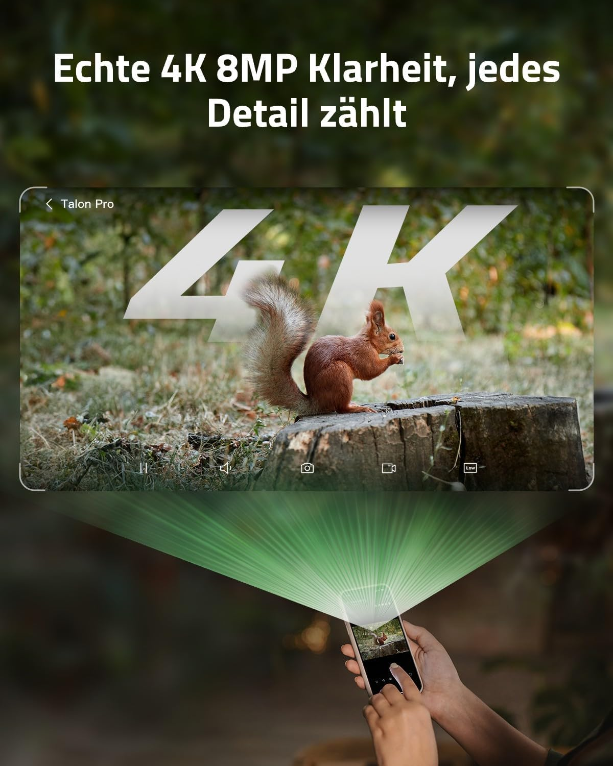 Ein Eichhörnchen sitzt auf einem Baumstumpf und frisst. Das Wort "4K" ist groß im Hintergrund.