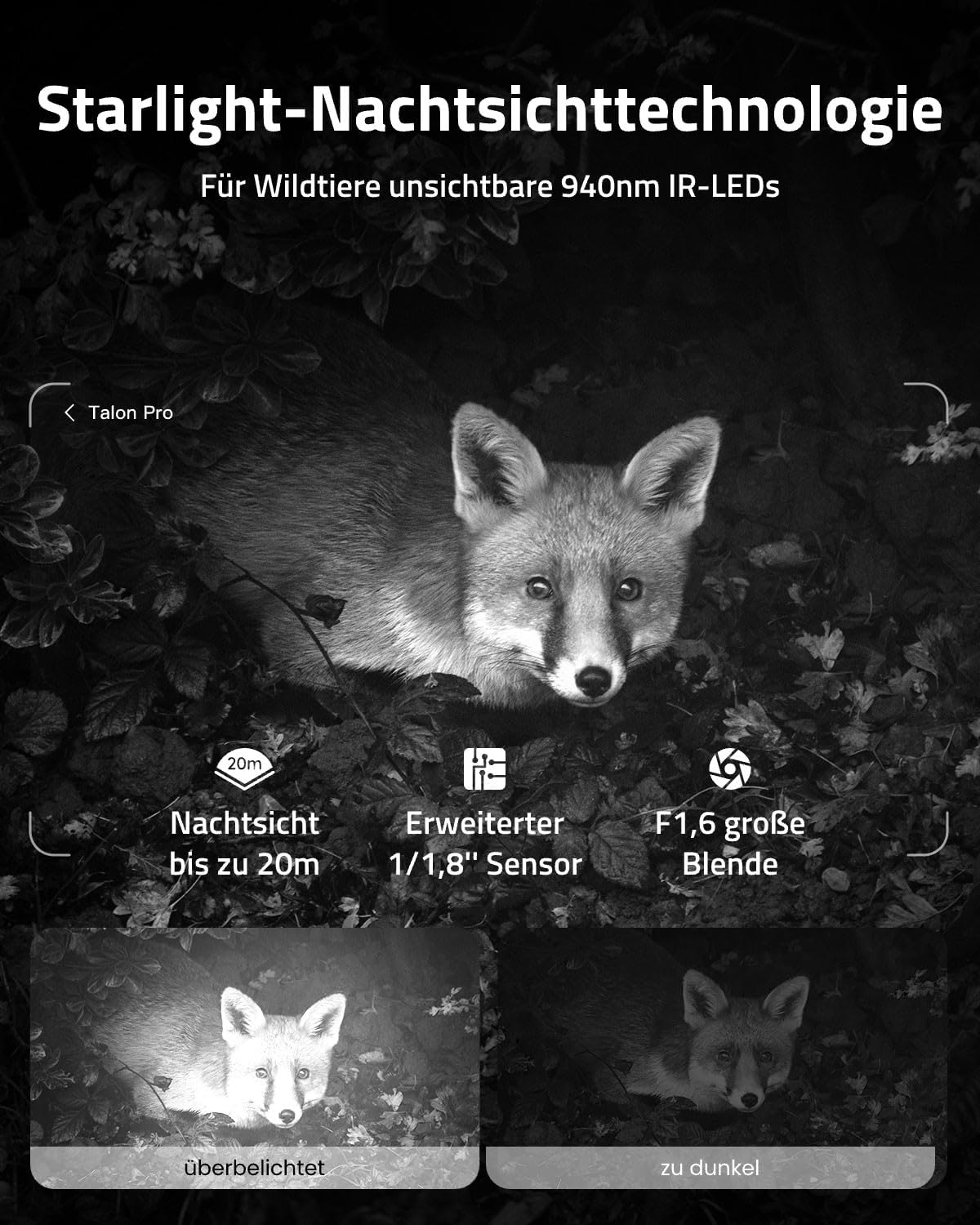 Ein Fuchs im Dunkeln mit Nachtsicht-Technologie-Details.