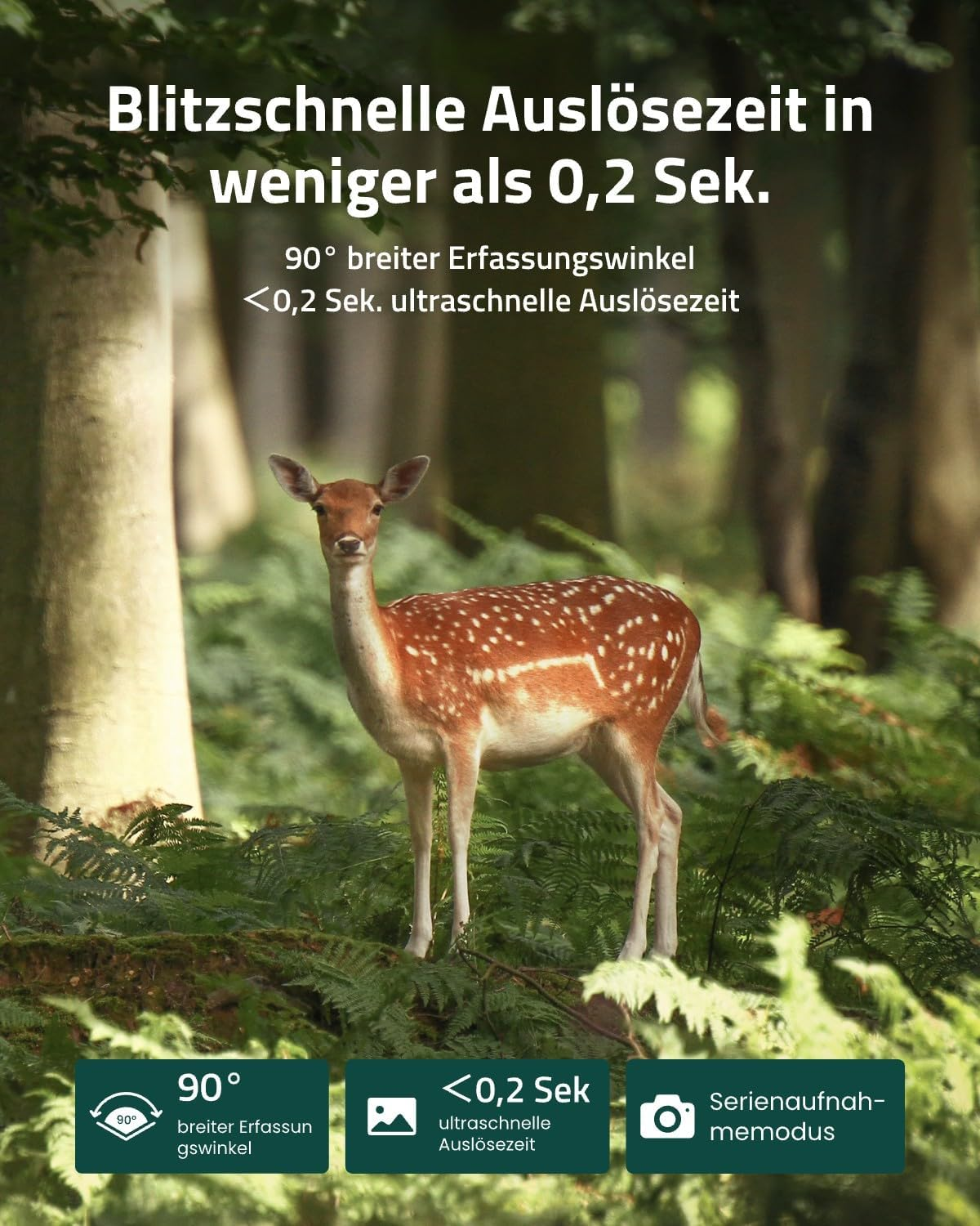 Ein geflecktes Damwild steht im Wald, umgeben von Farnen.