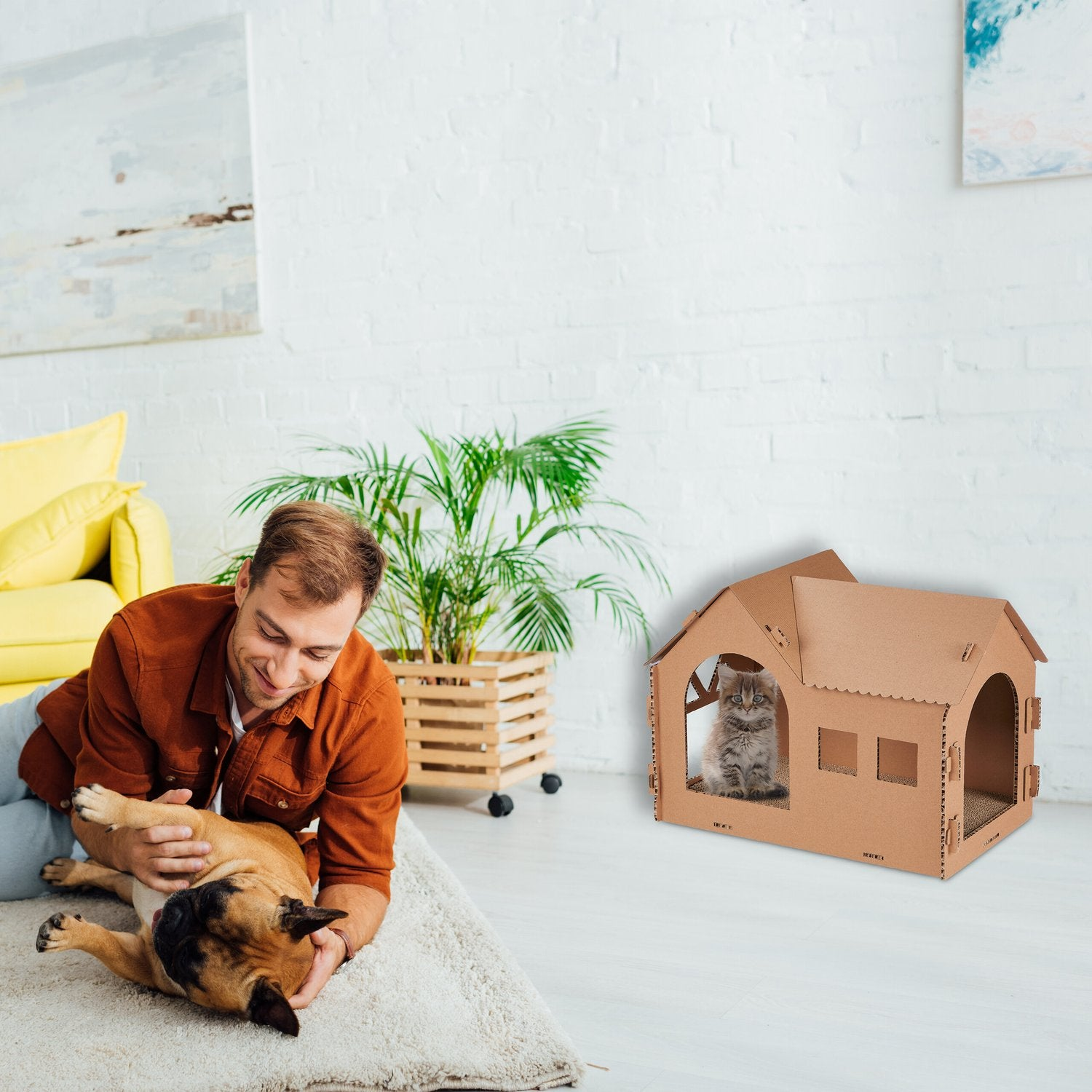 Hombre juega con perro en alfombra, gato en casa de cartón.