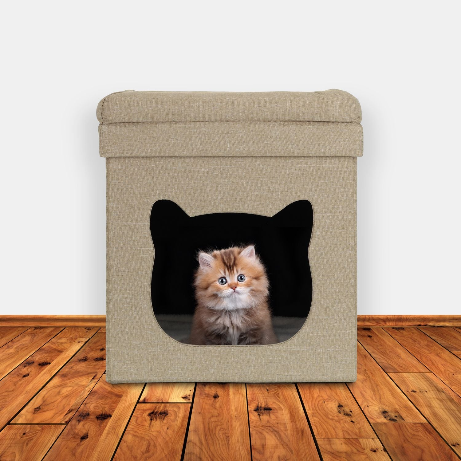 Un gatito esponjoso se sienta dentro de una casa para gatos beige con abertura en forma de oreja.