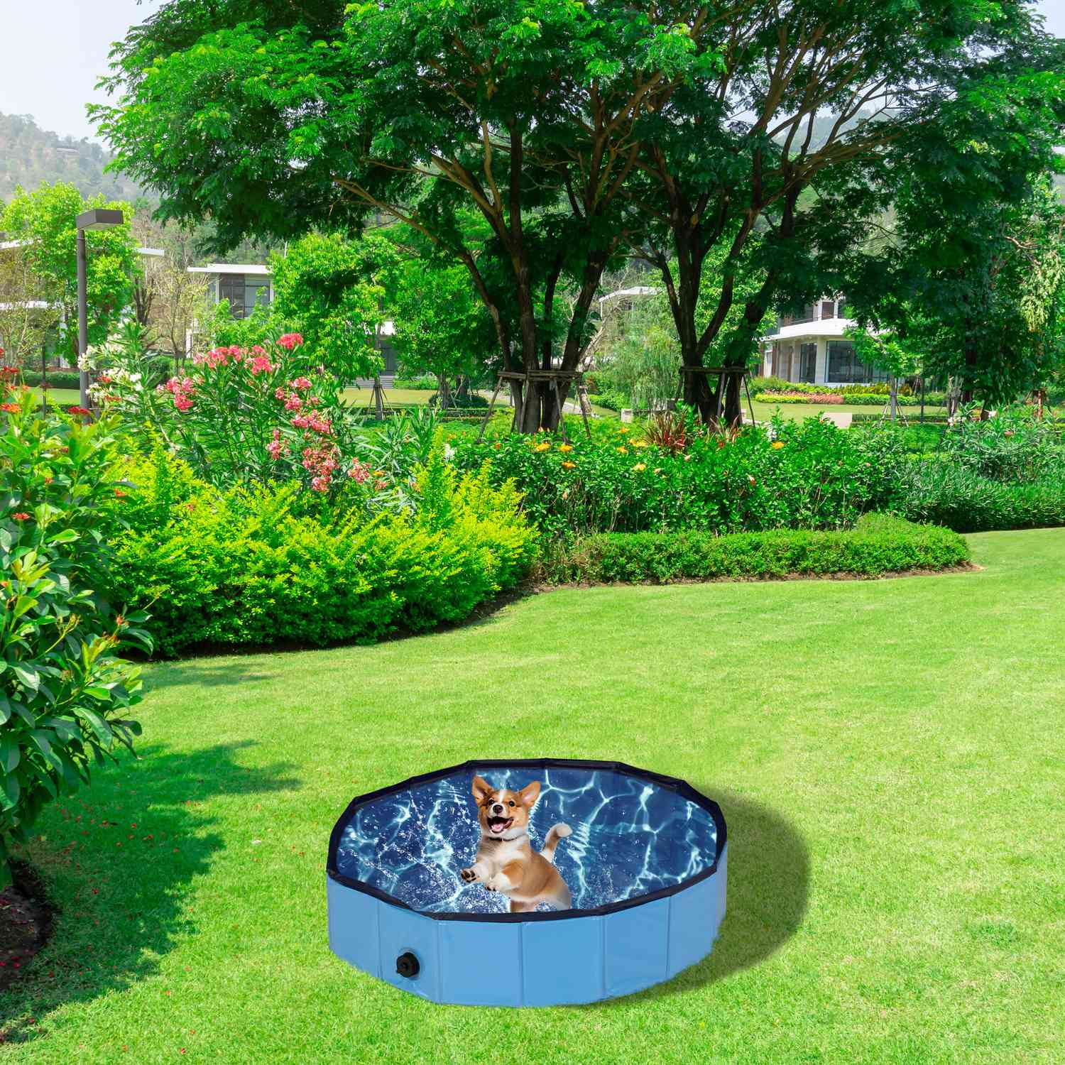 Un perro chapotea en una piscina inflable azul en un jardín.
