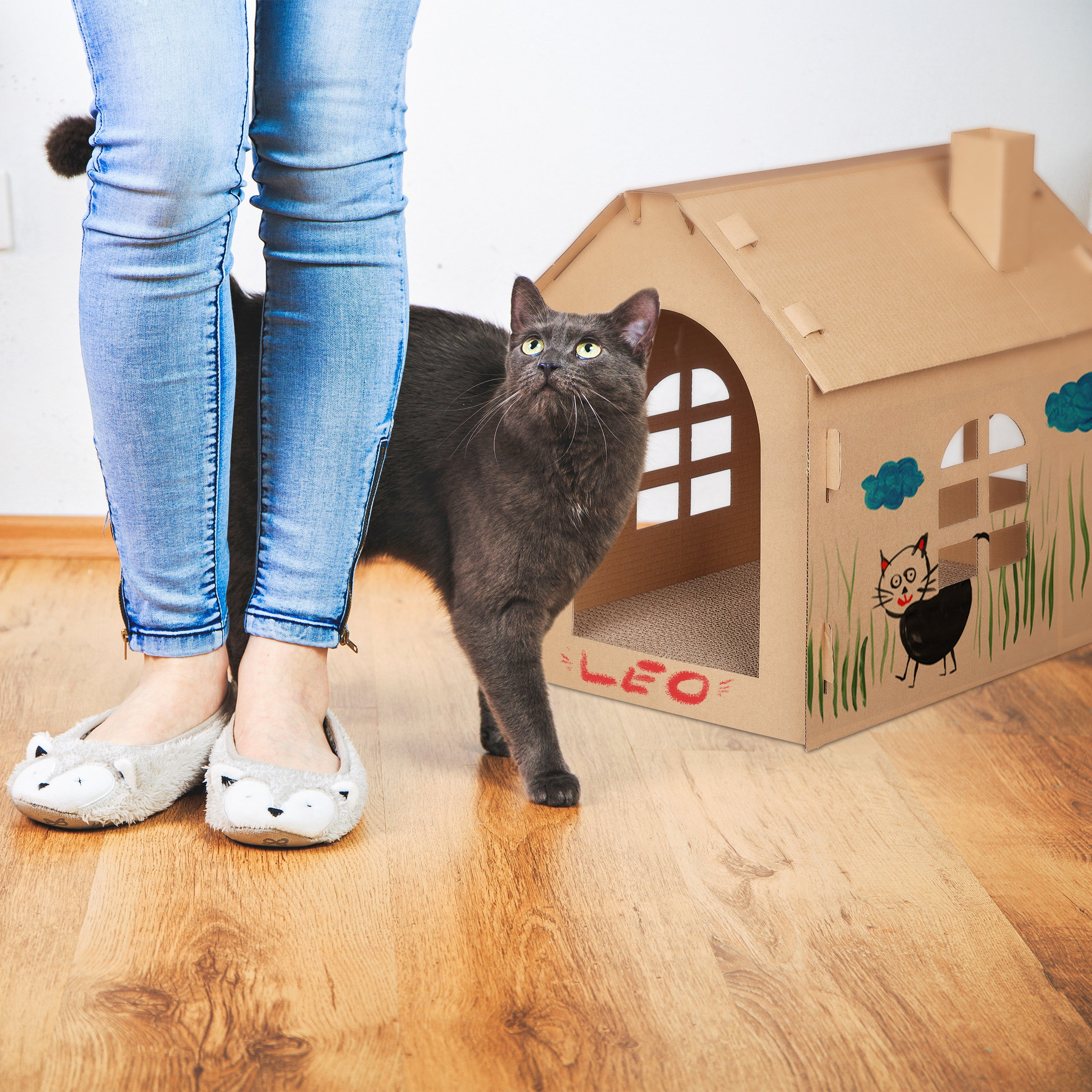 Un gato gris cerca de una casa de cartón con dibujos. Una persona lleva vaqueros y zapatillas.
