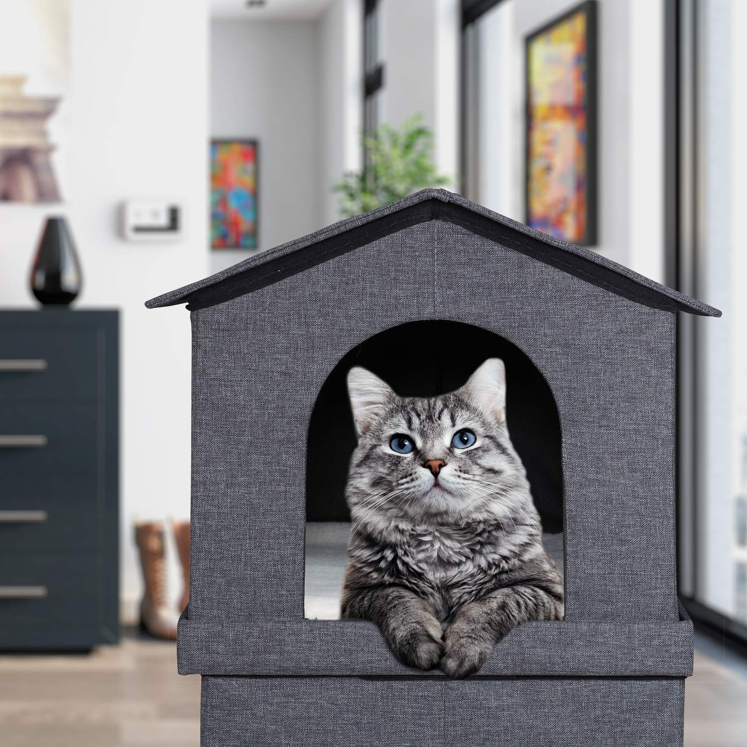 Un gato atigrado con ojos azules se sienta en una casa gris para mascotas.